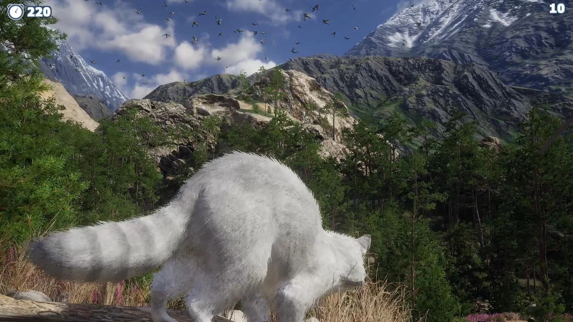 Cazzarion: Raccoon Valley screenshot 4