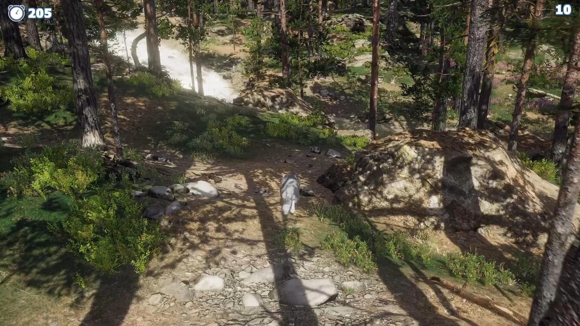 Cazzarion: Raccoon Valley screenshot 3