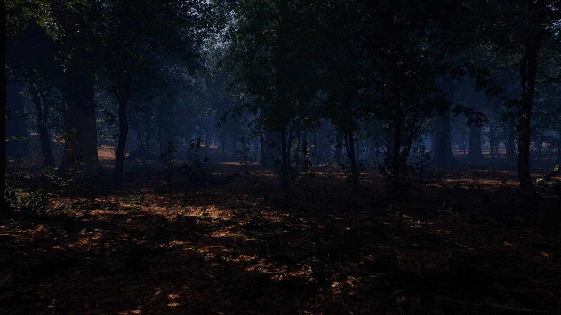 Cecil Hollow screenshot 5
