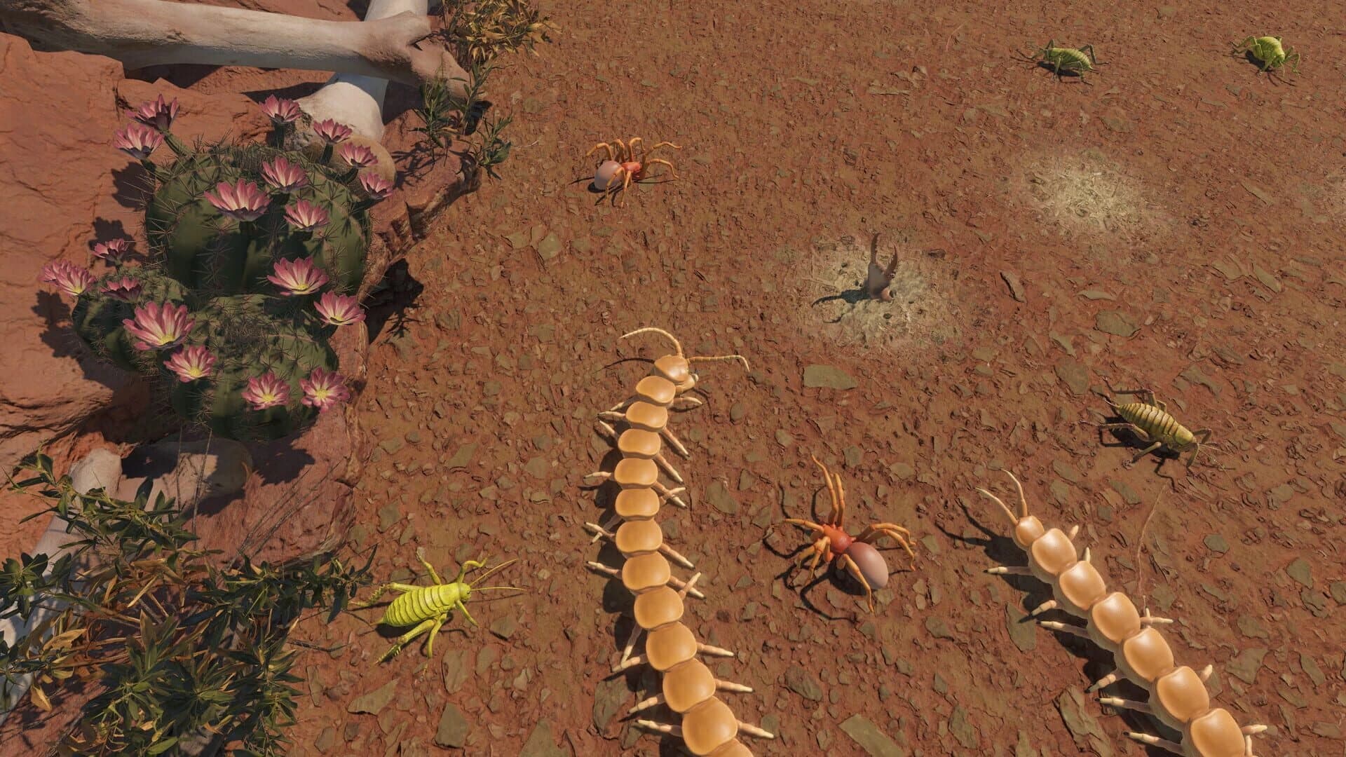 Centipede Simulator screenshot 2