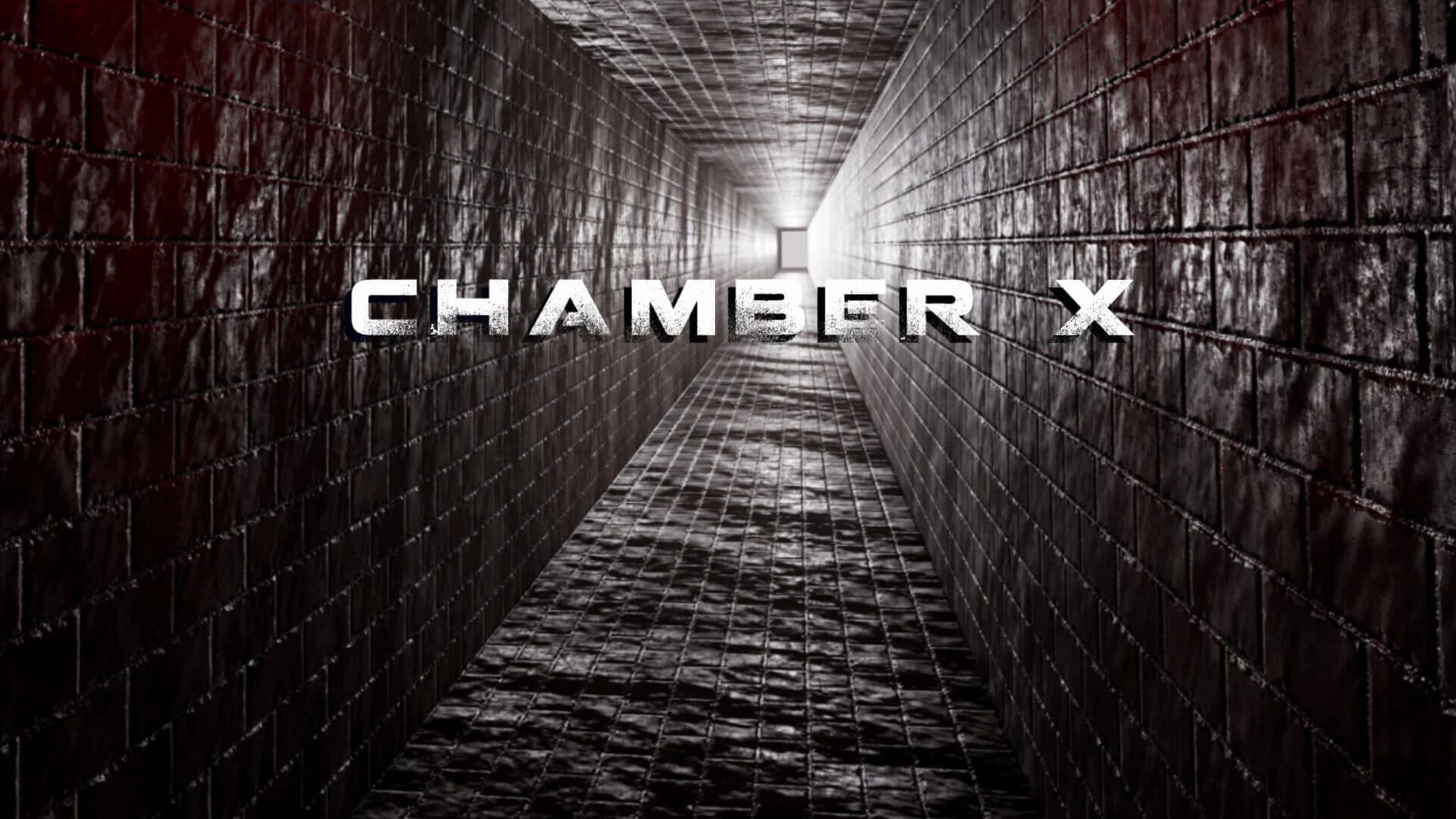 Chamber X screenshot 5