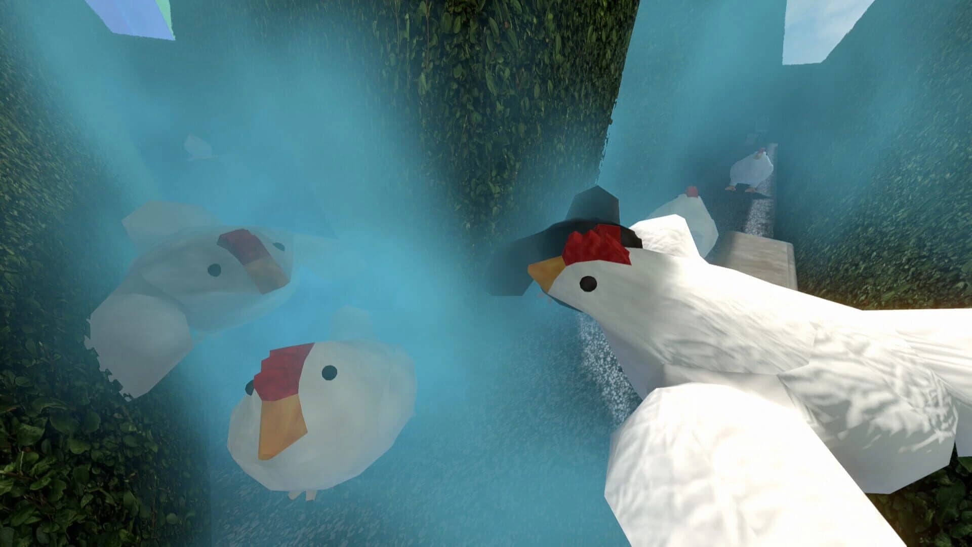 Chasing Chickens screenshot 3
