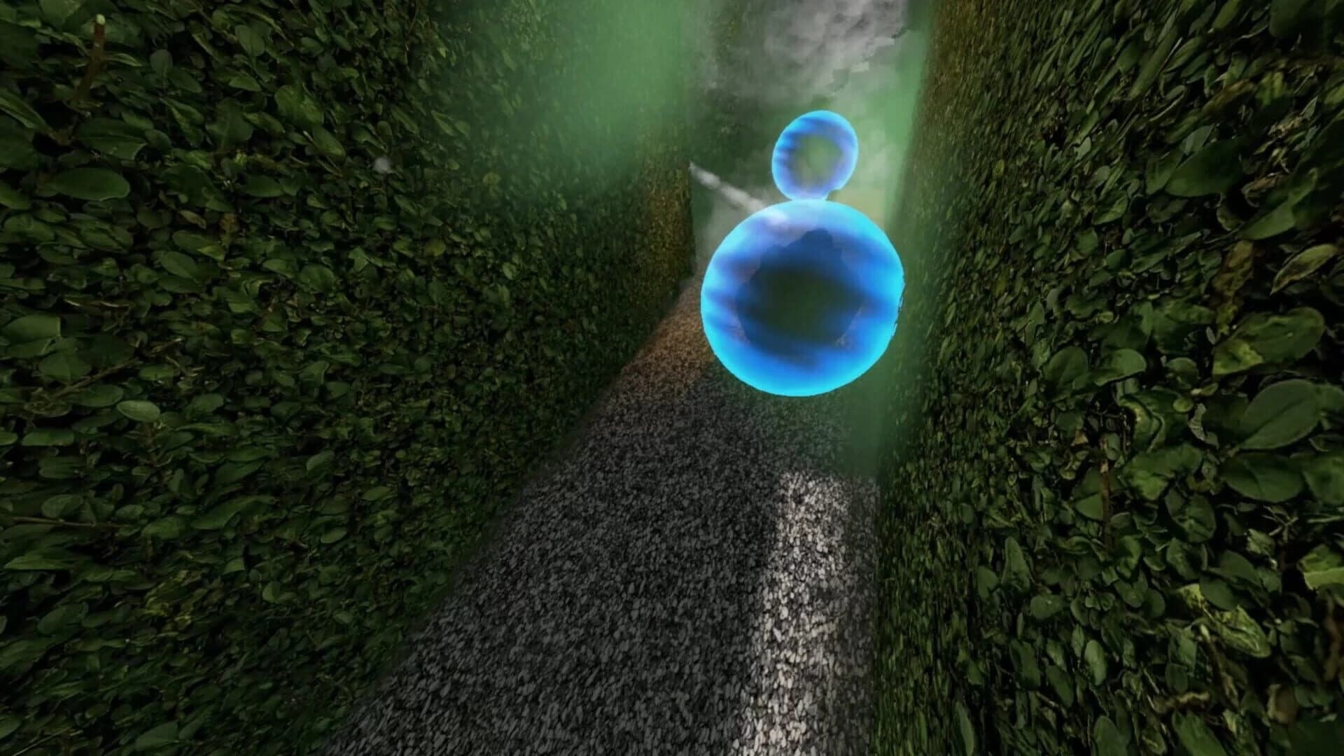 Chasing Chickens screenshot 1