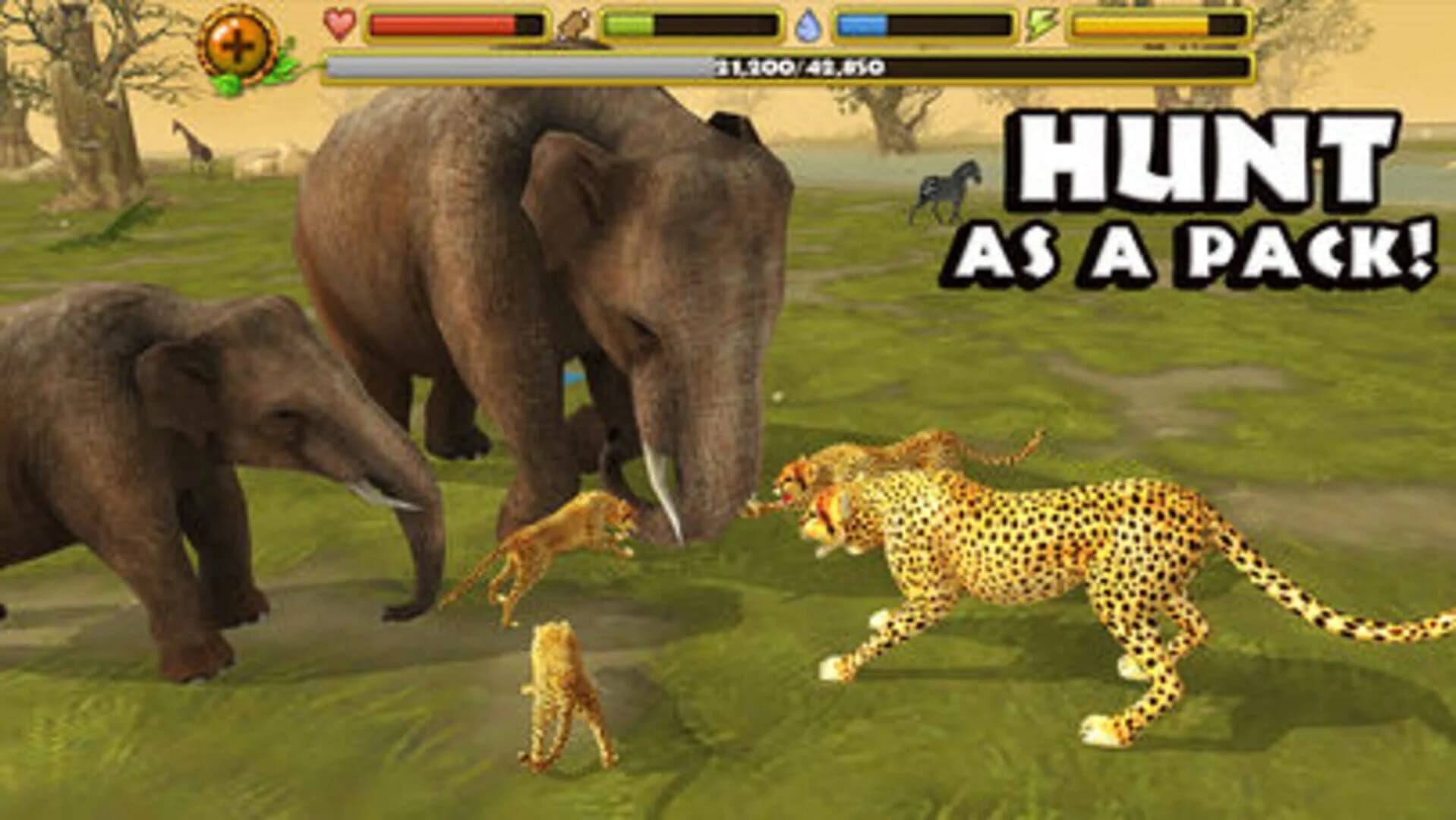 Cheetah Simulator screenshot 2