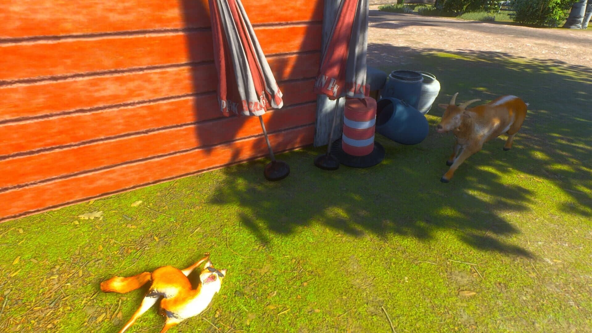 Chill Fox screenshot 2