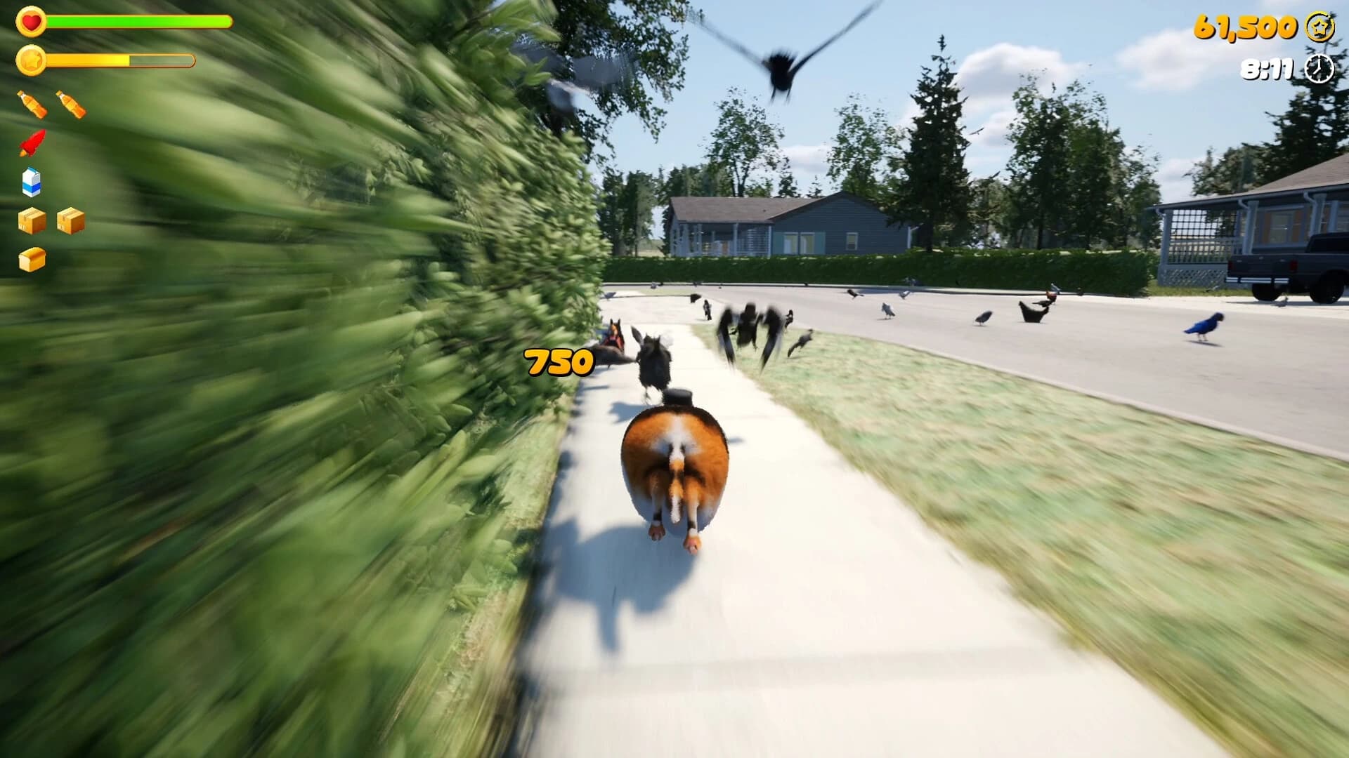 Chonky Cat screenshot 7