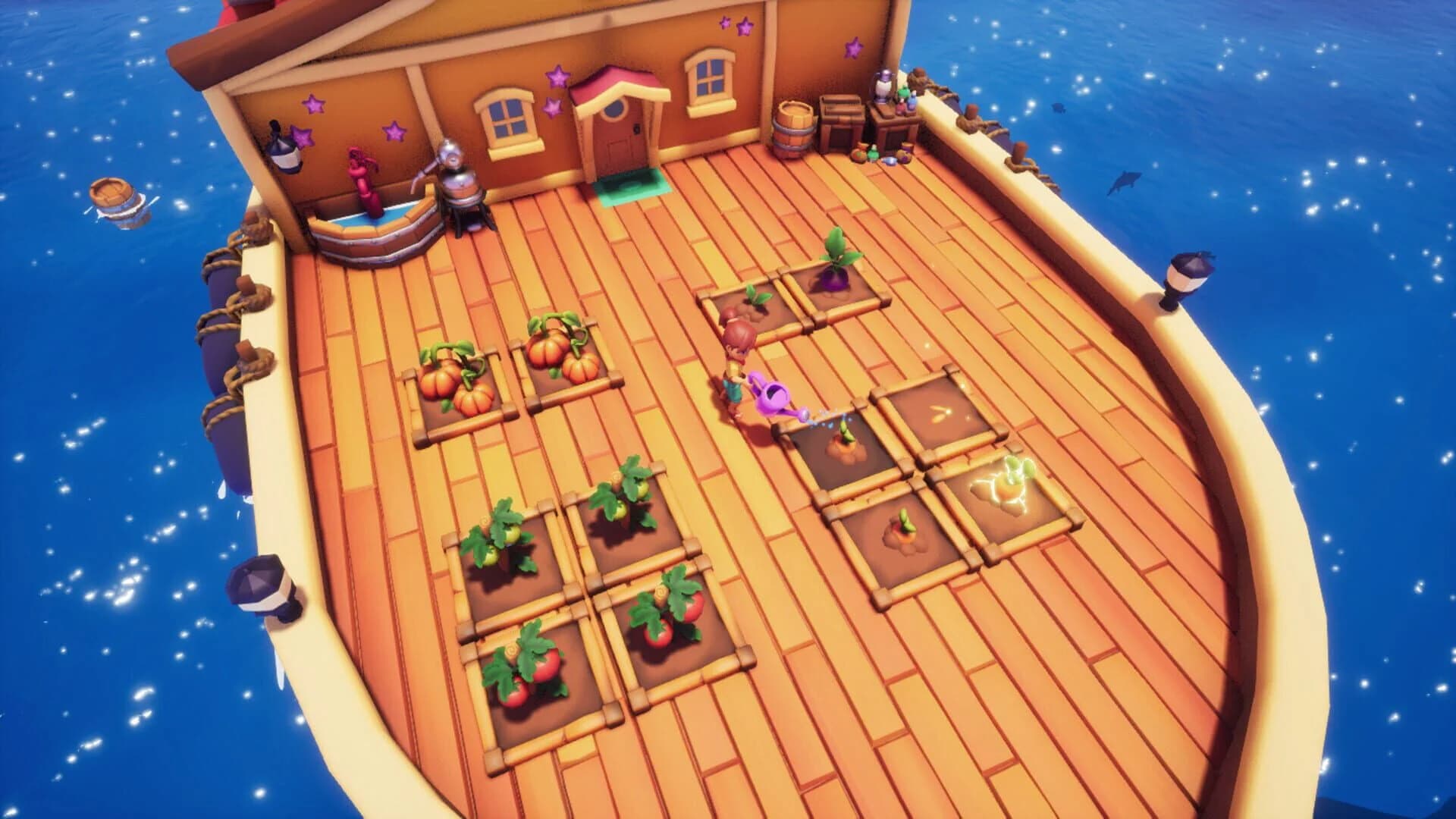 Collector's Cove screenshot 3