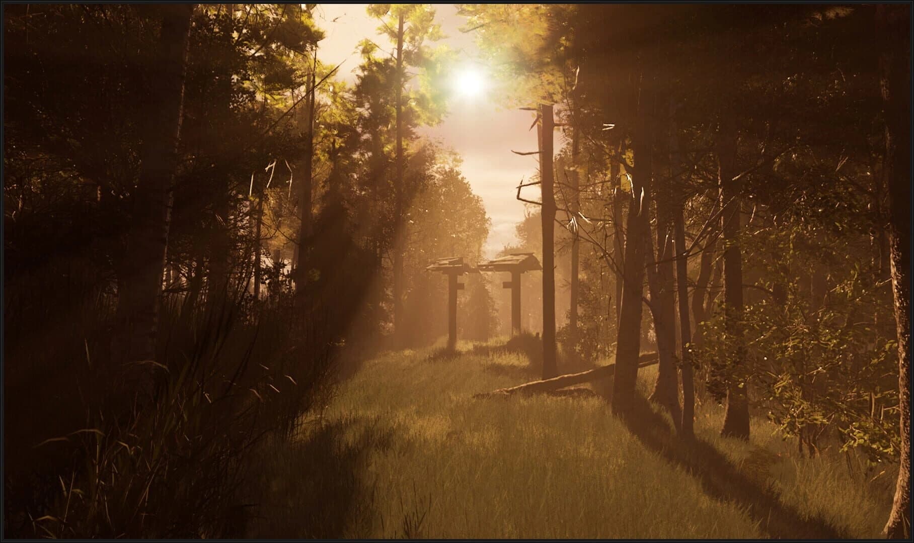 Contorted screenshot 5