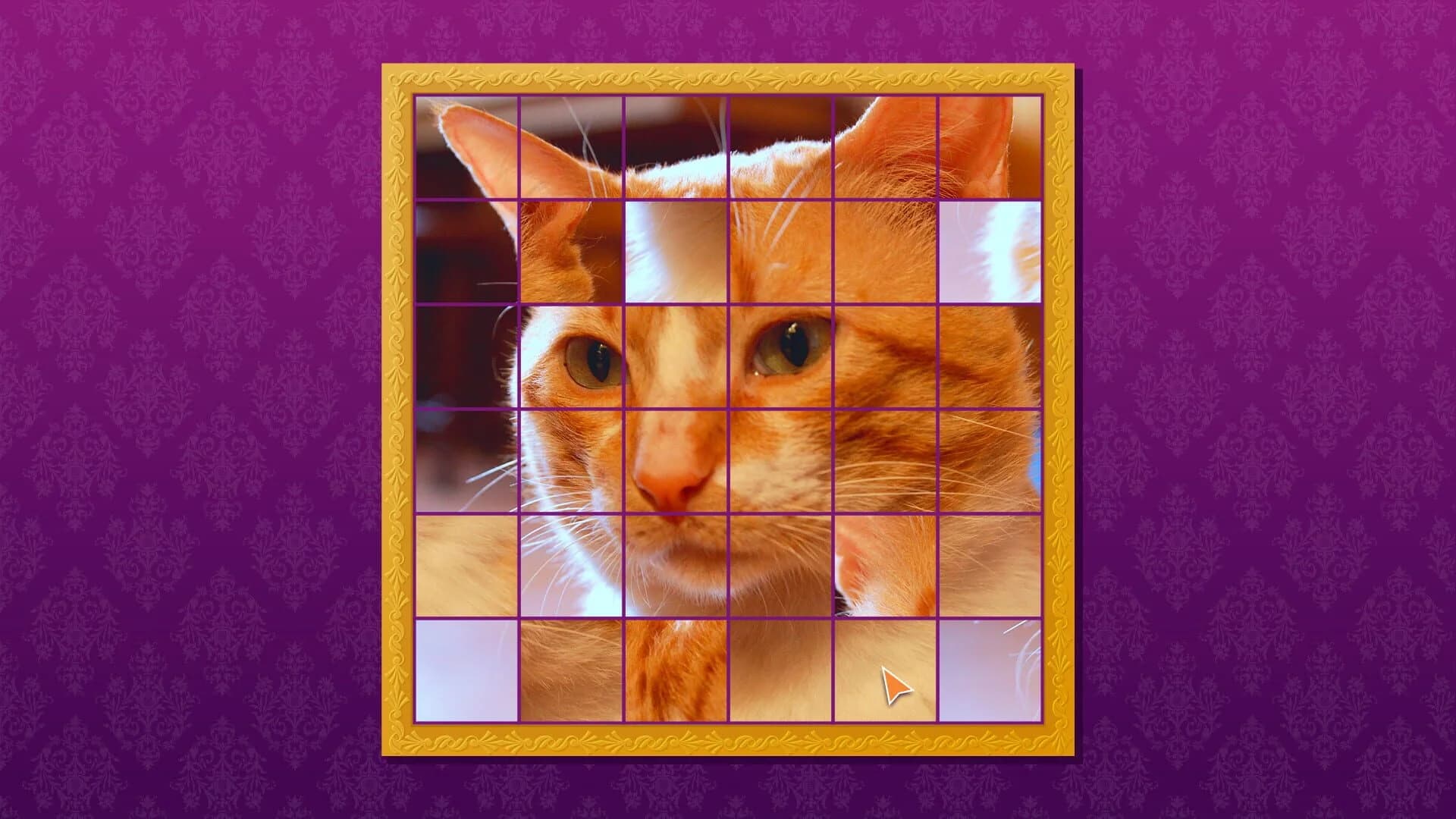 Cozy Room screenshot 2