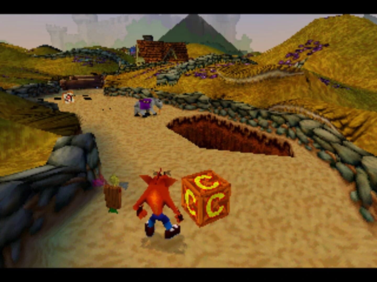 Crash Bandicoot Collectors' Edition screenshot 1