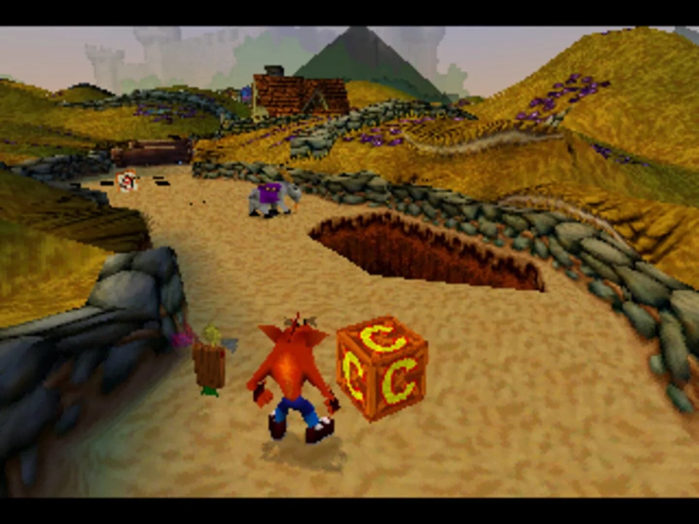 Crash Bandicoot: Warped screenshot 3