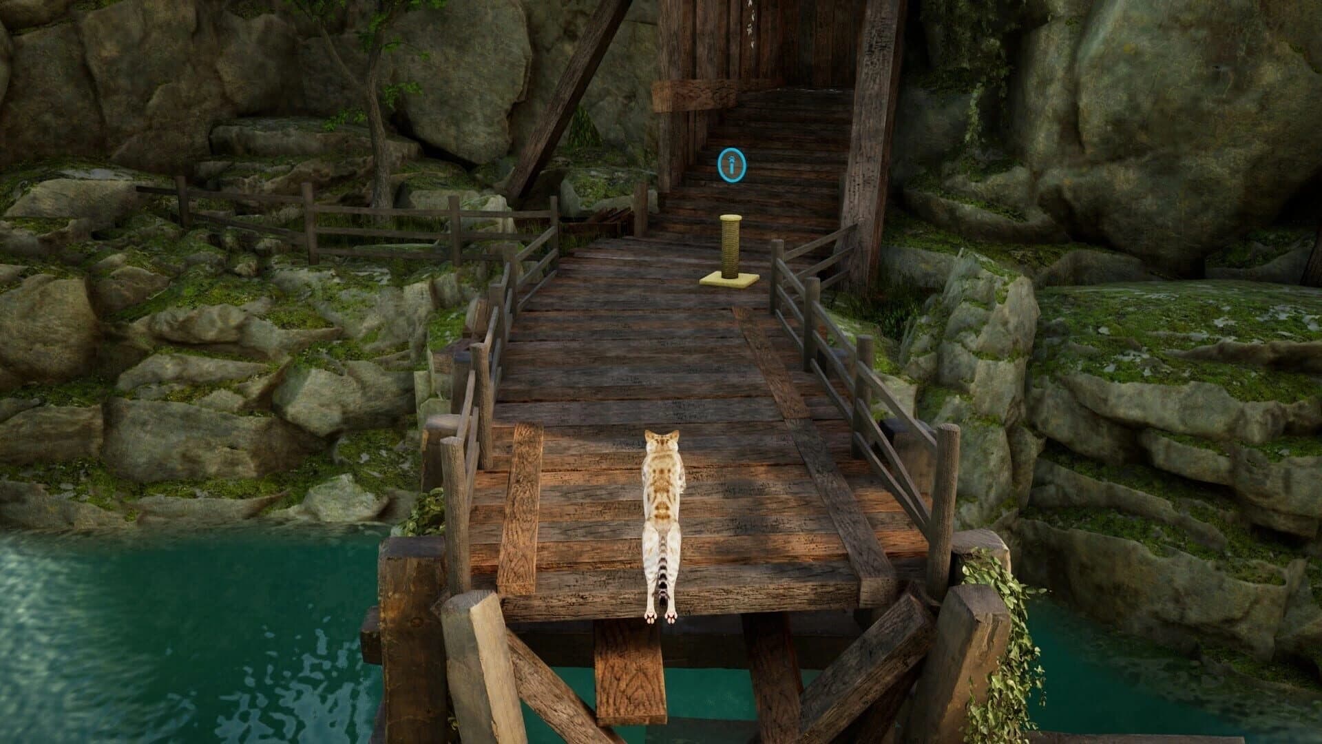 Curiosity screenshot 5