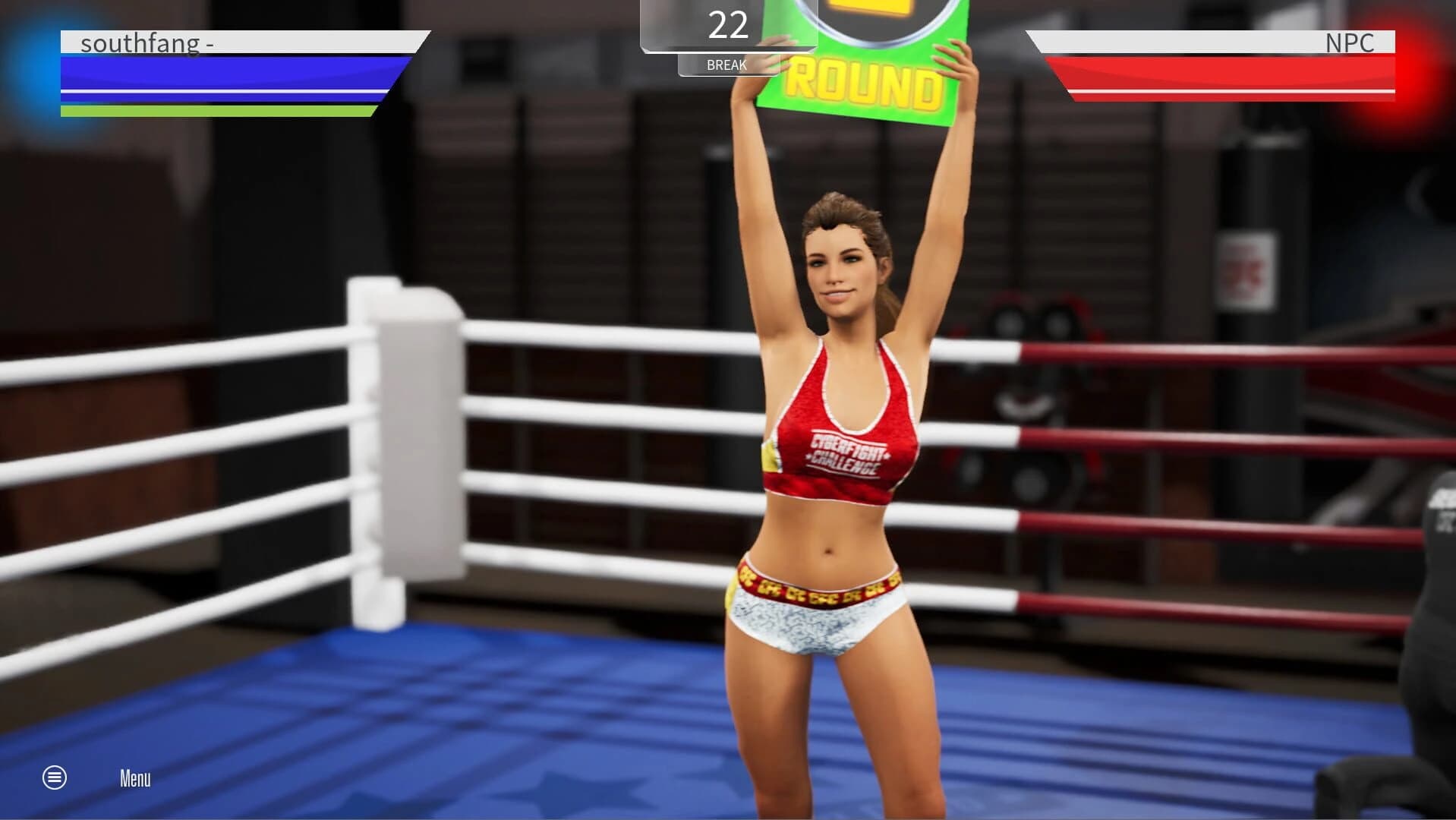 Cyber Fight Challenge screenshot 5