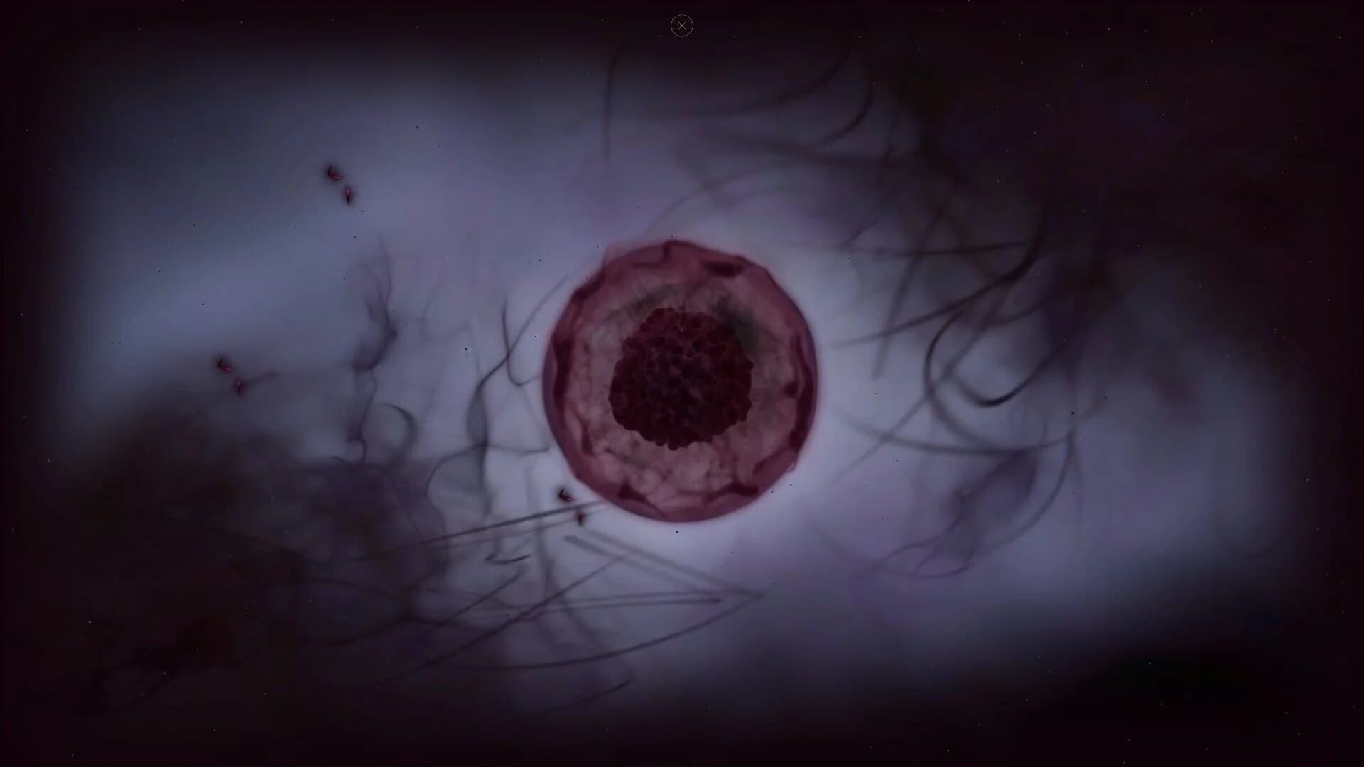 Cyrano Story screenshot 4