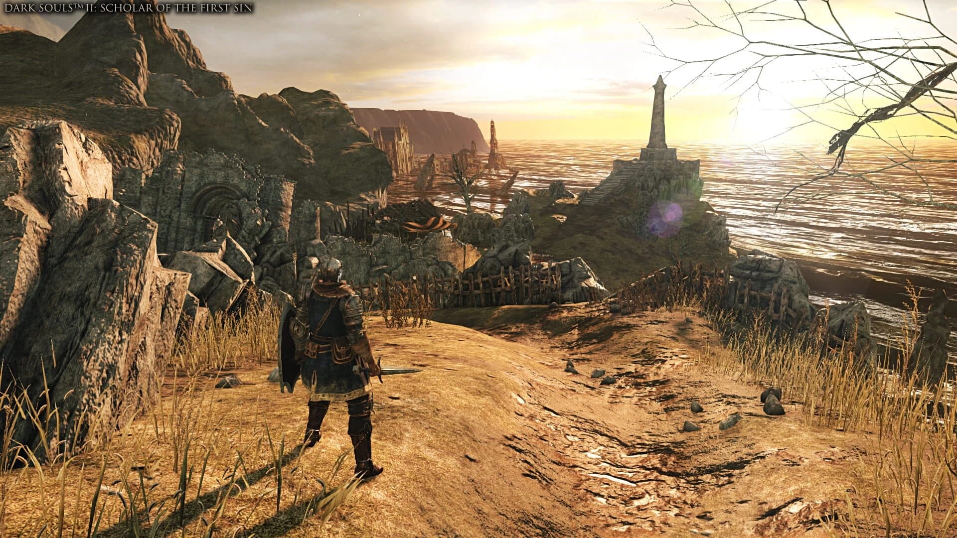 Dark Souls Trilogy screenshot 2