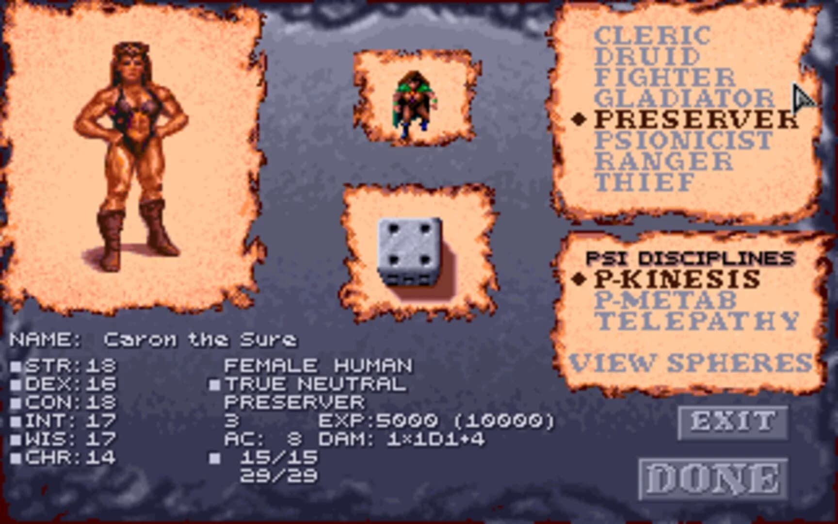 Dark Sun: Shattered Lands screenshot 3