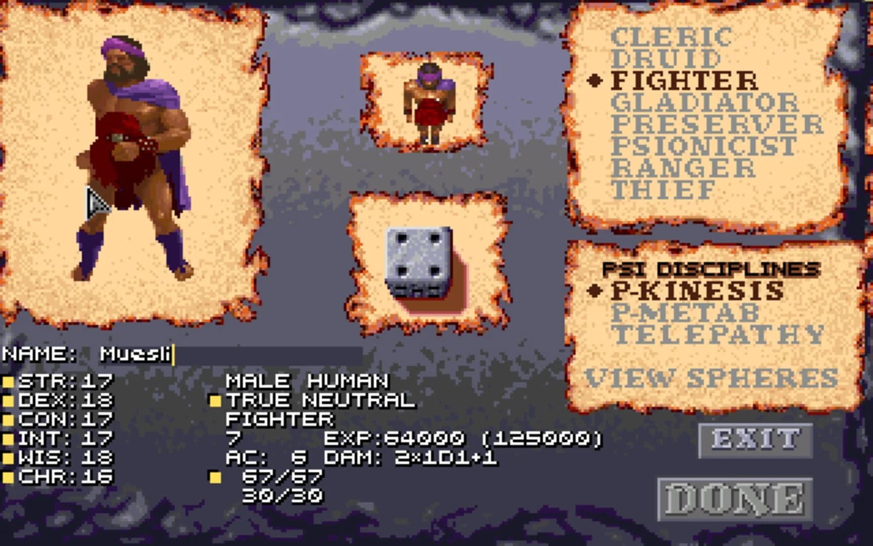 Dark Sun: Wake of the Ravager screenshot 3