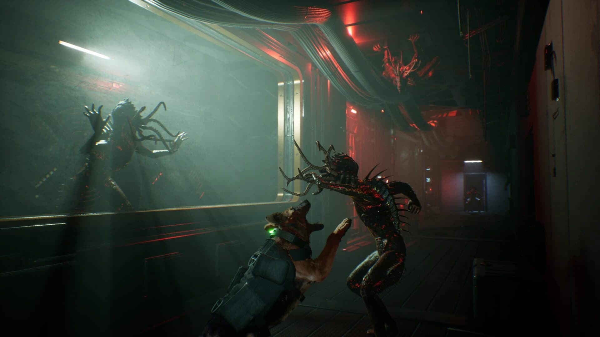 Darkwatch screenshot 3