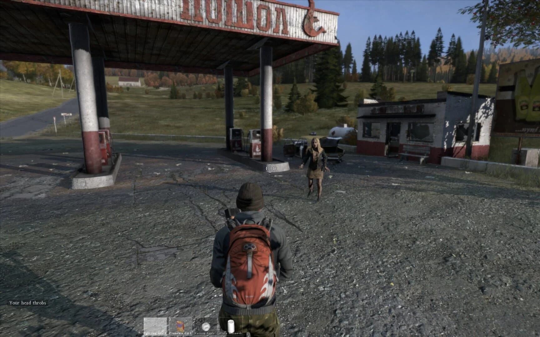 DayZ screenshot 4