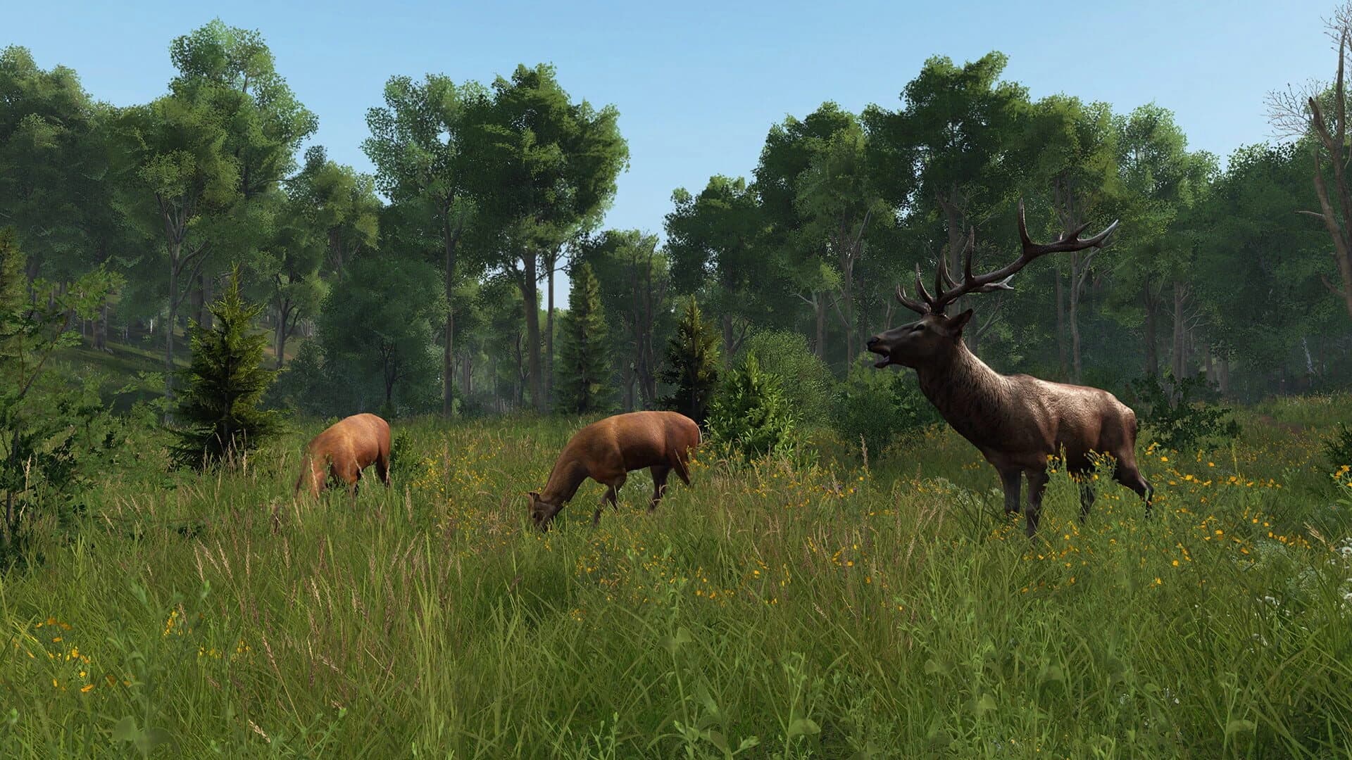 DayZ: Livonia screenshot 2