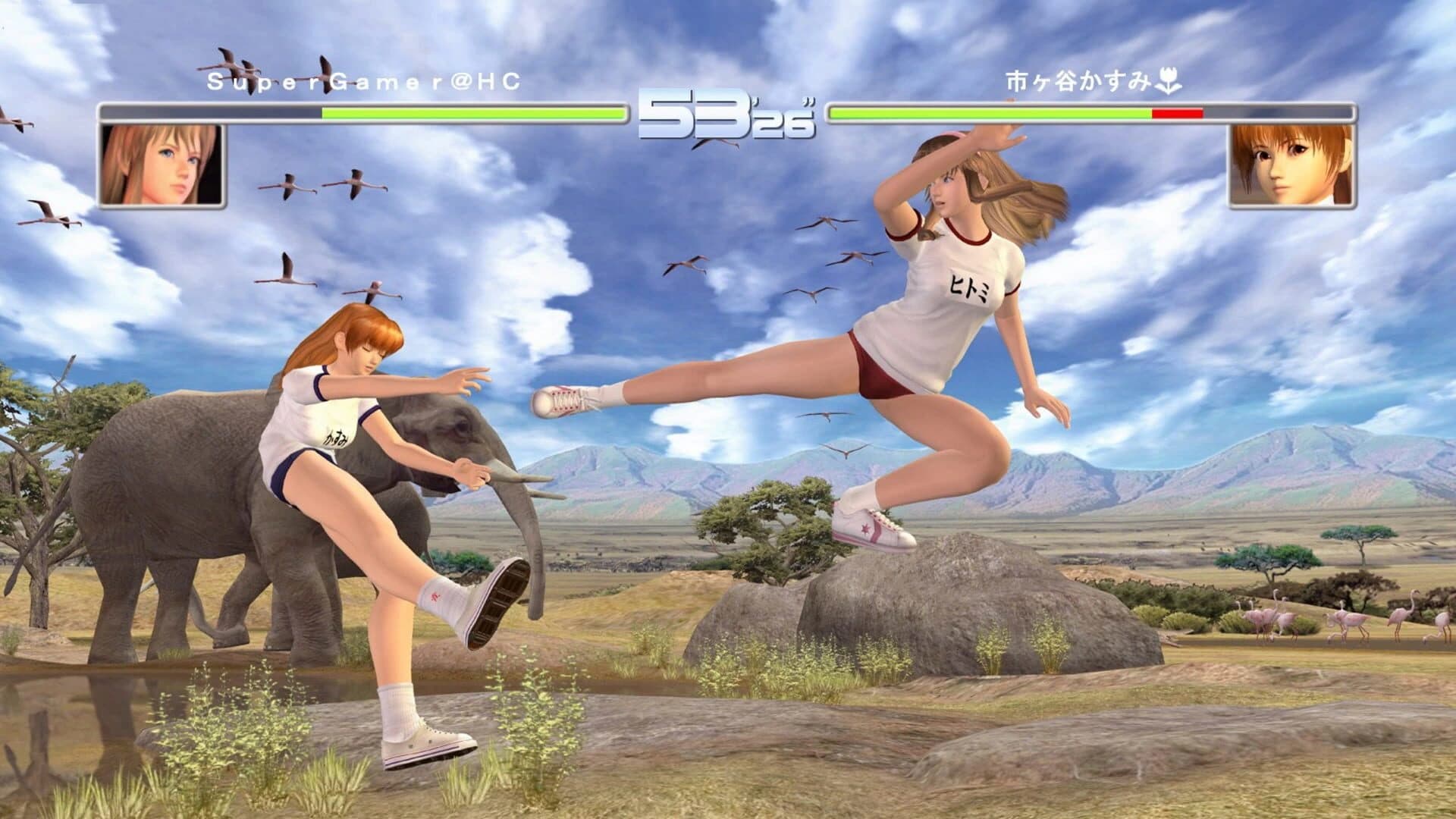 Dead or Alive 2 Ultimate screenshot 2