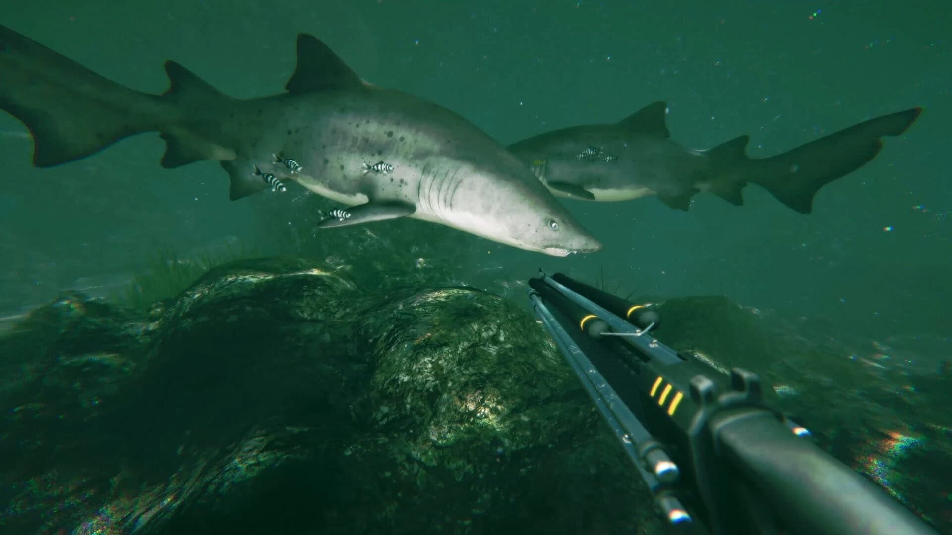 Death in the Water 2 screenshot 4