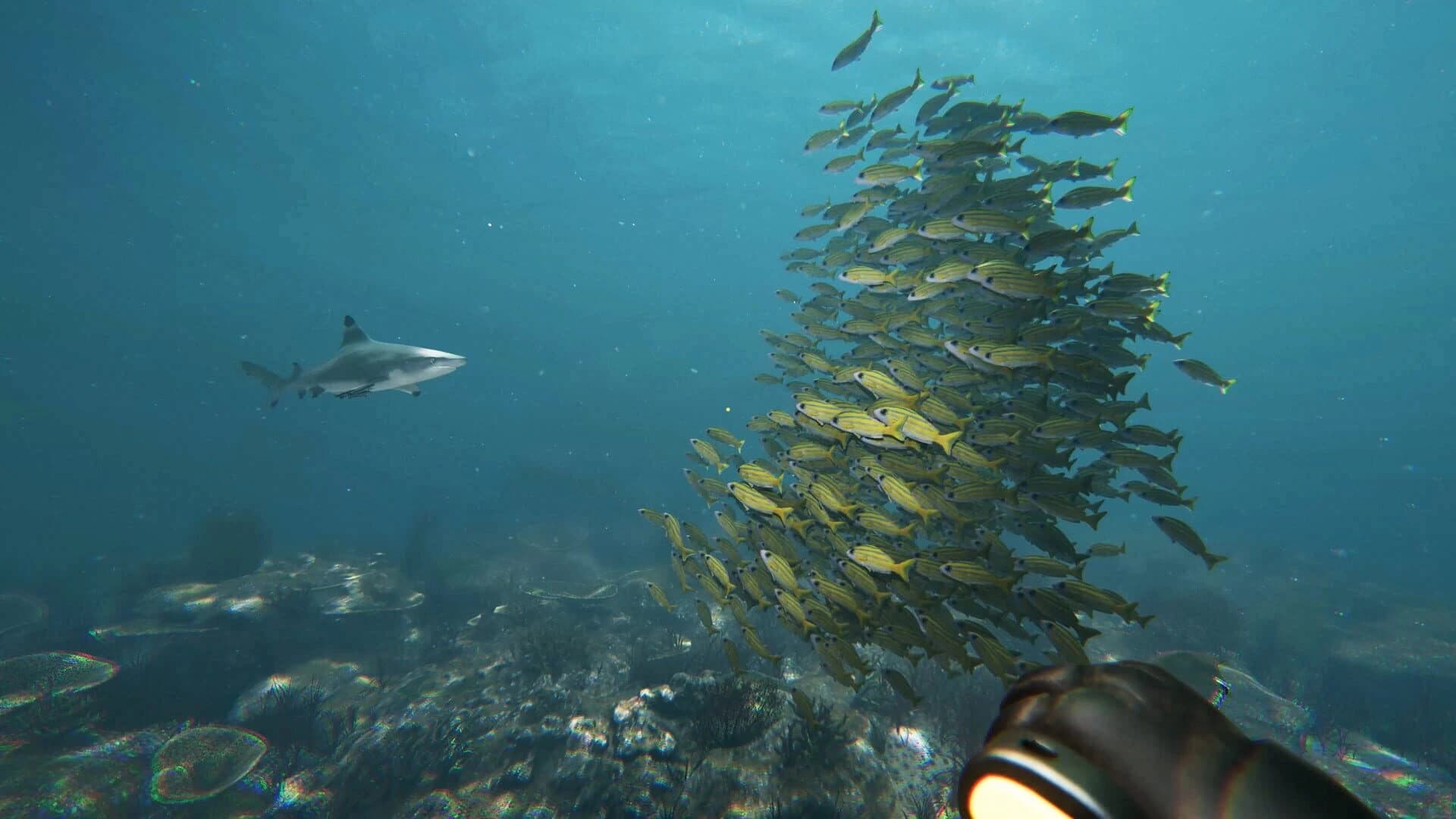 Death in the Water 2 screenshot 3