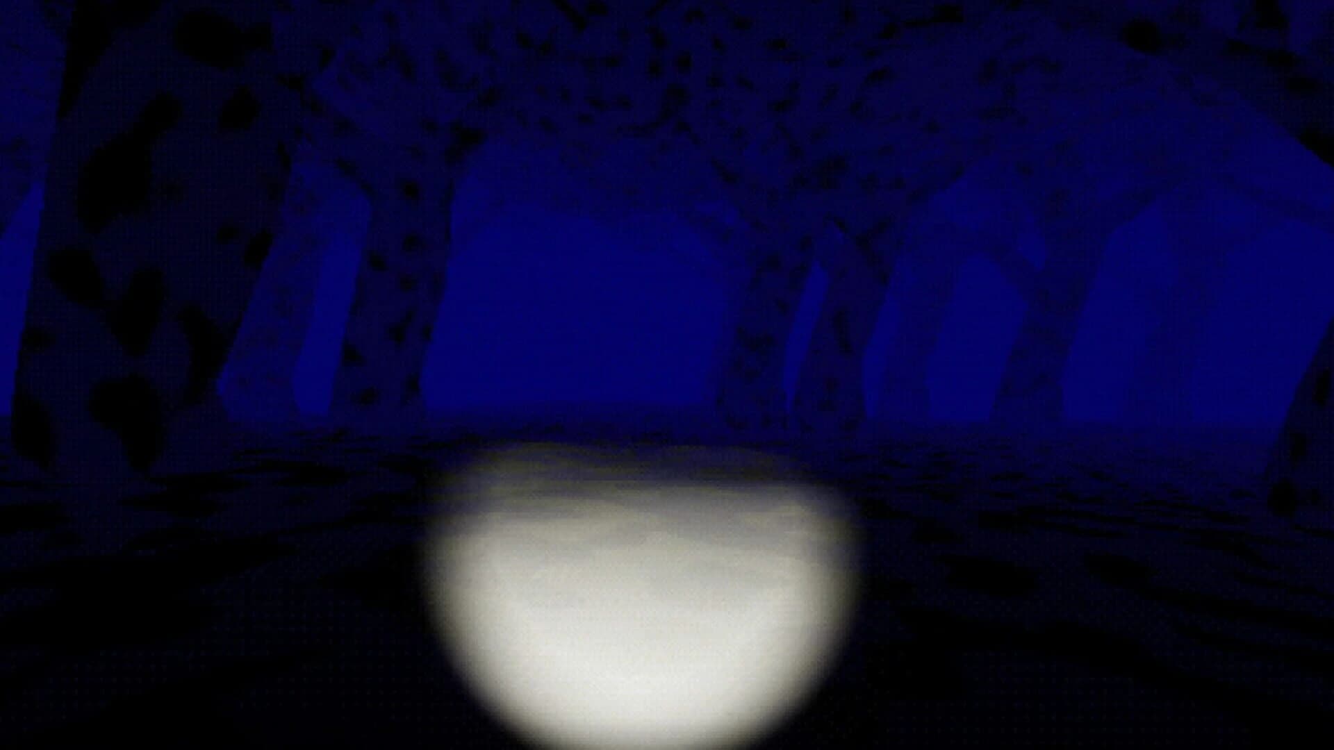 Deep in the Snowy Night screenshot 3