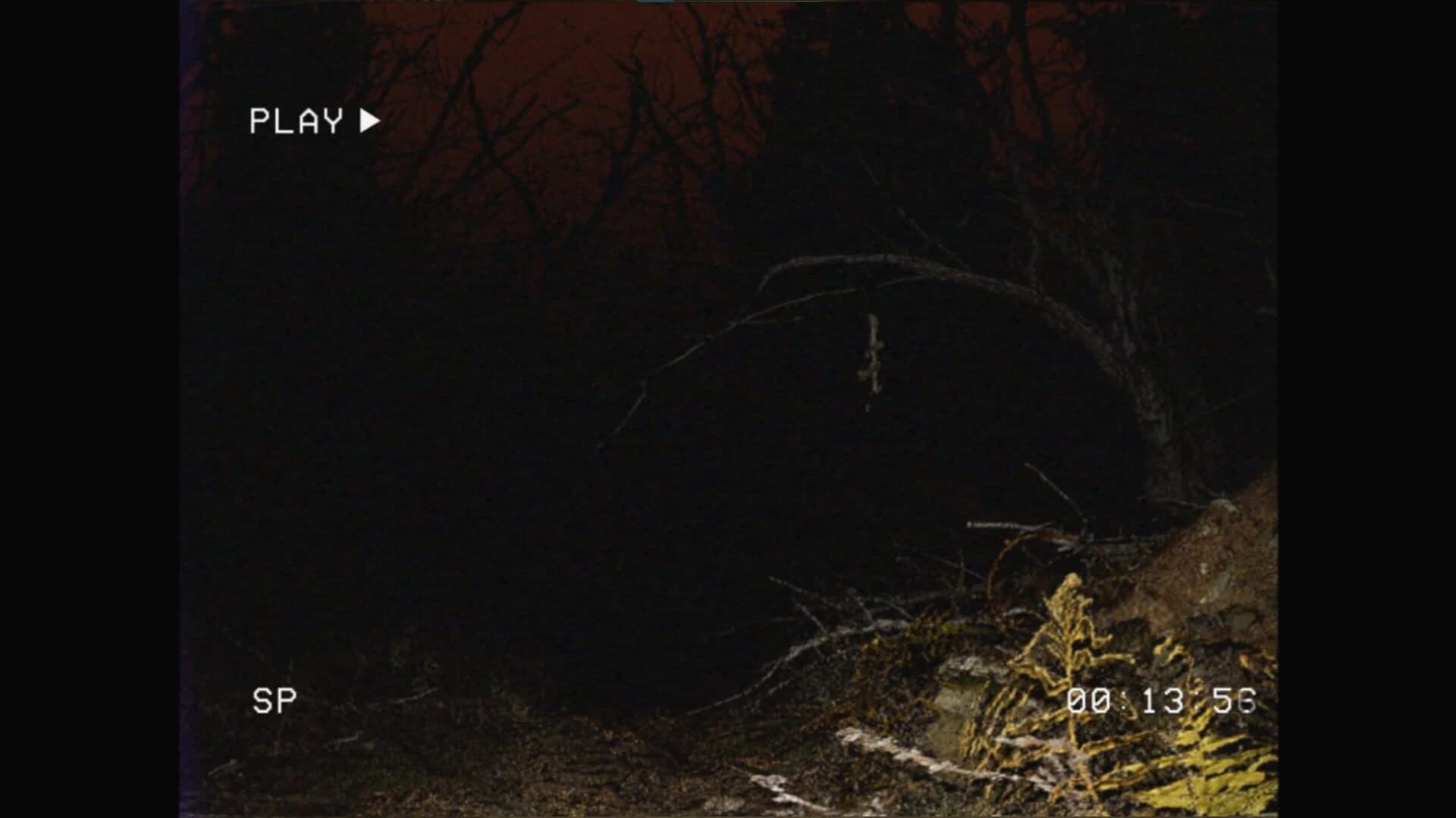 Deeply Dark: Found Footage screenshot 2