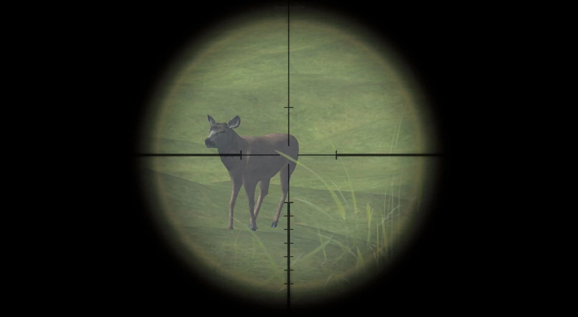 DeerHunterX screenshot 1