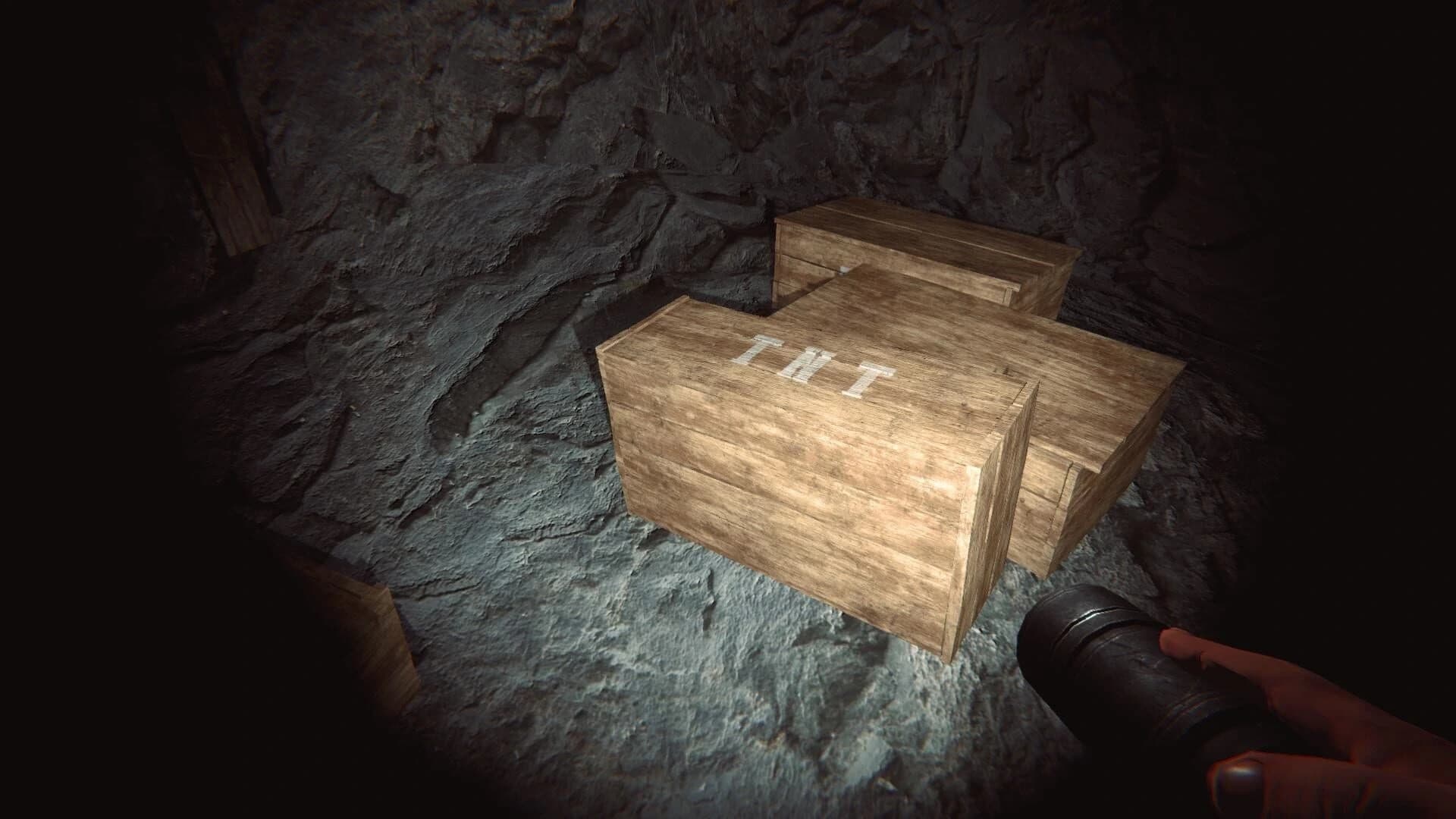Depths of Horror: Mushroom Day screenshot 3