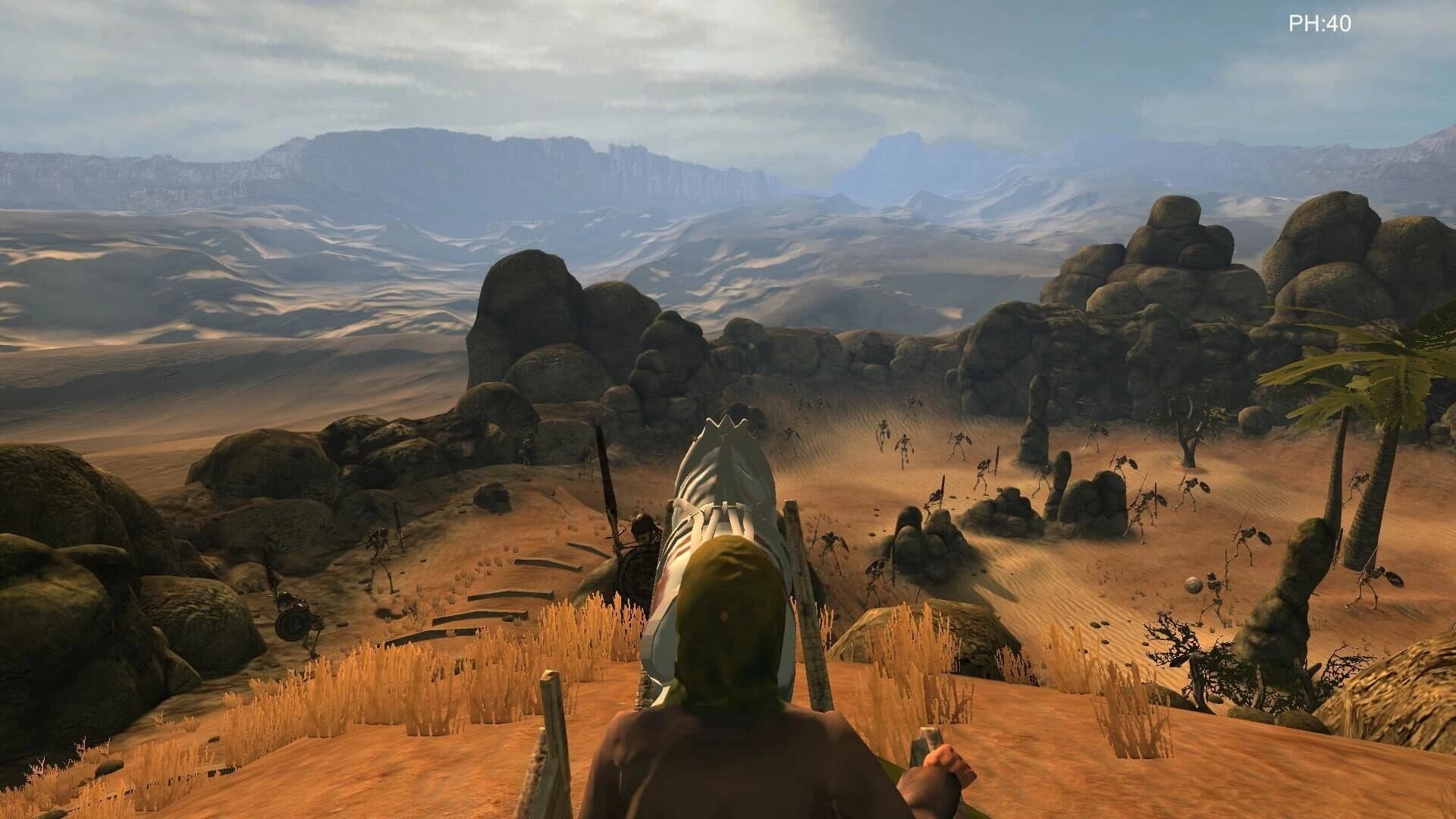 Desert coachman screenshot 1