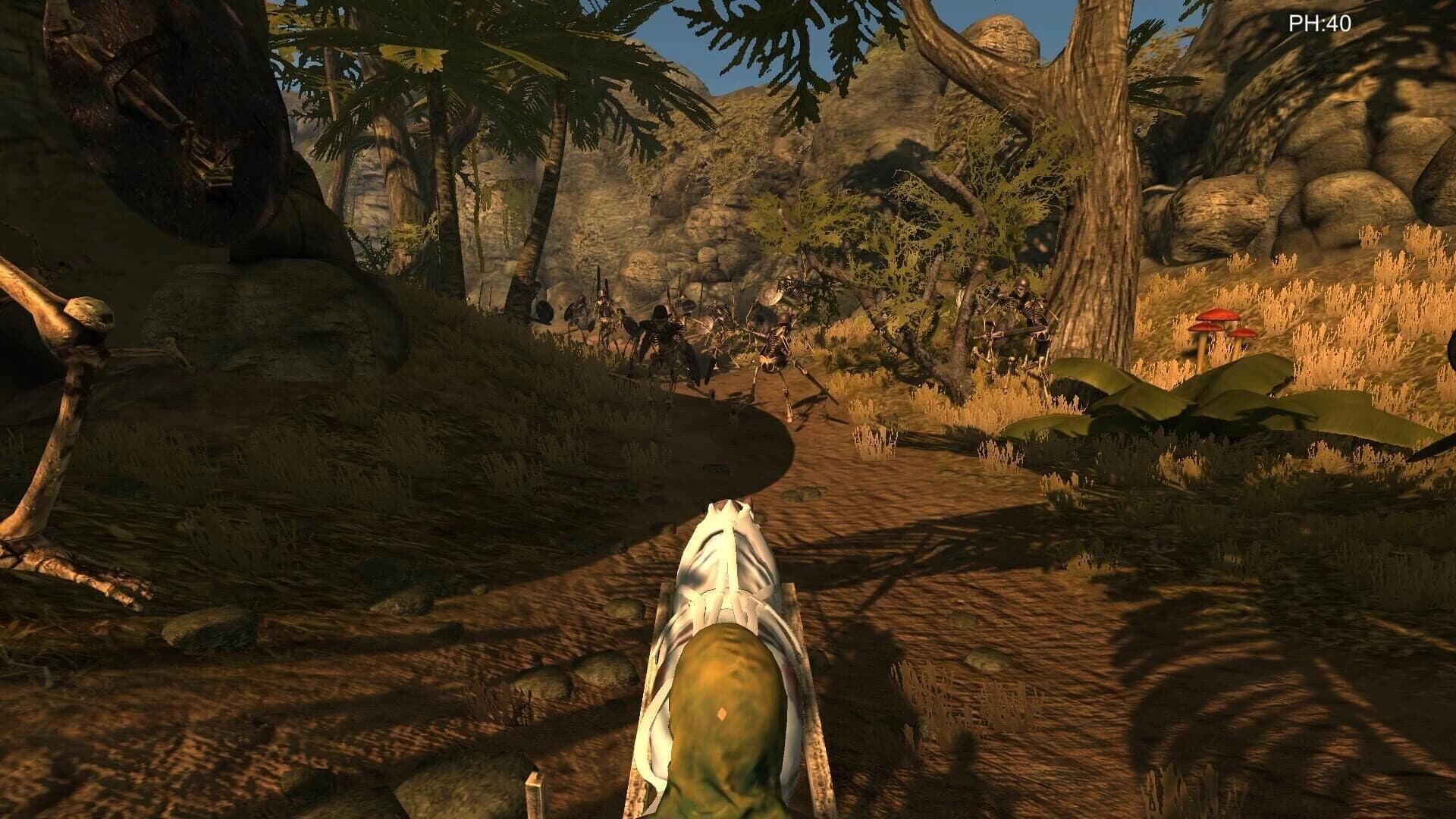 Desert coachman screenshot 4