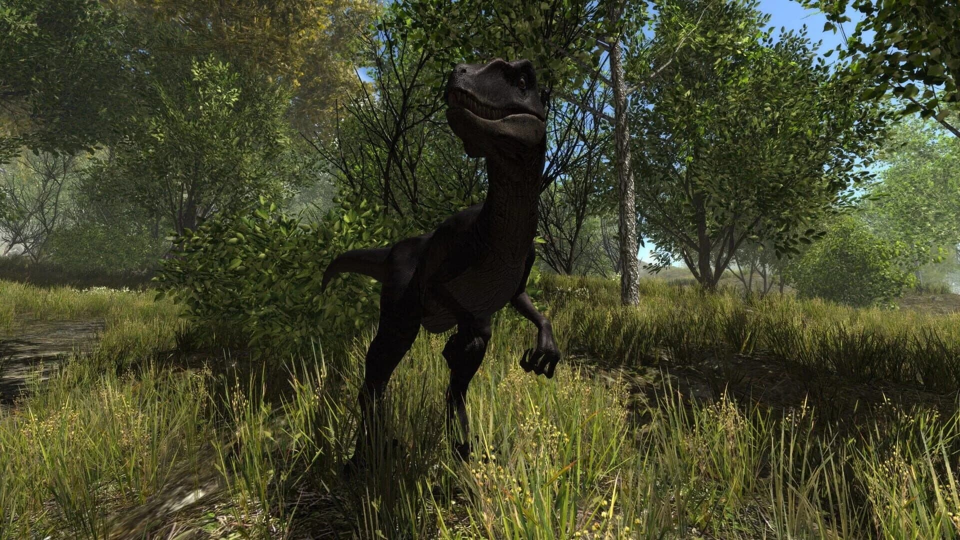 Dinosaur Forest screenshot 3