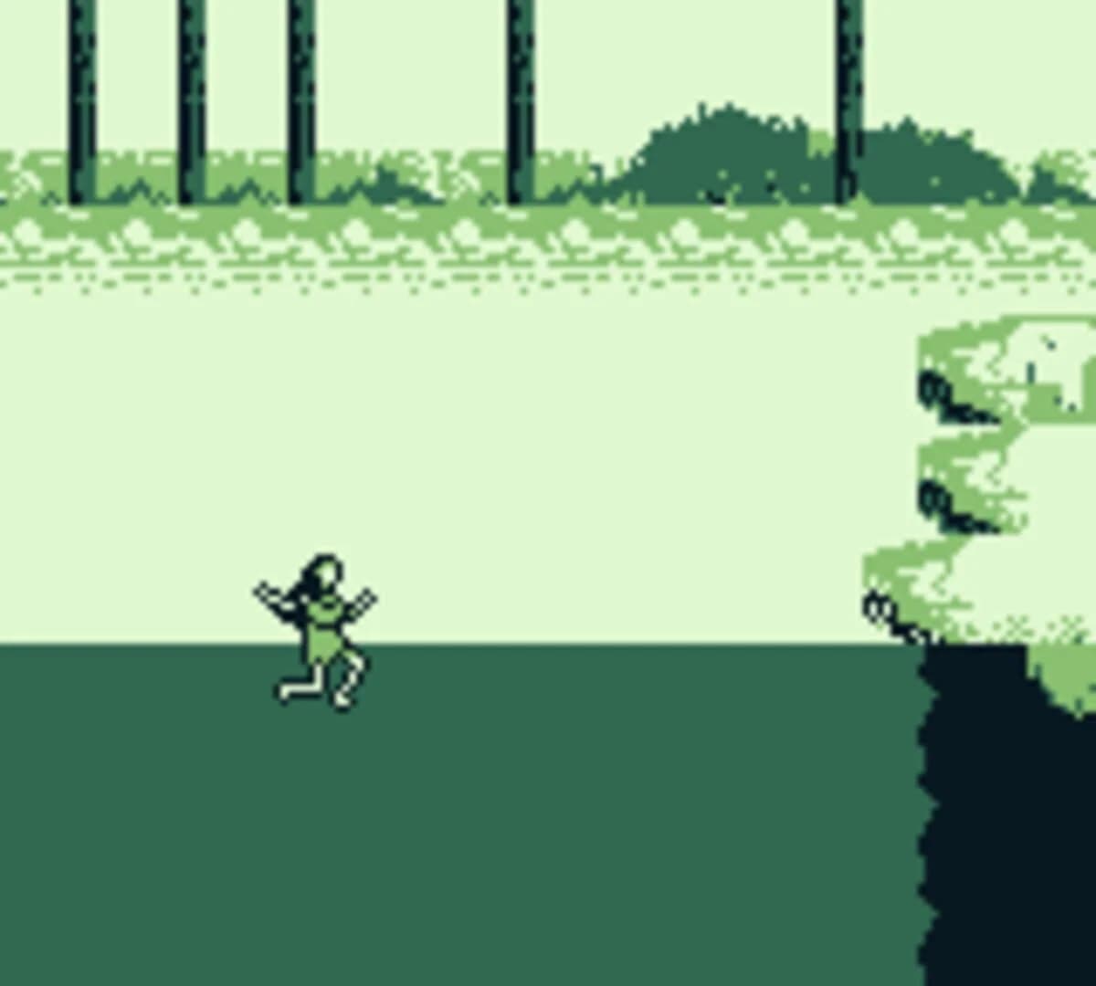 Disney's Pocahontas screenshot 3