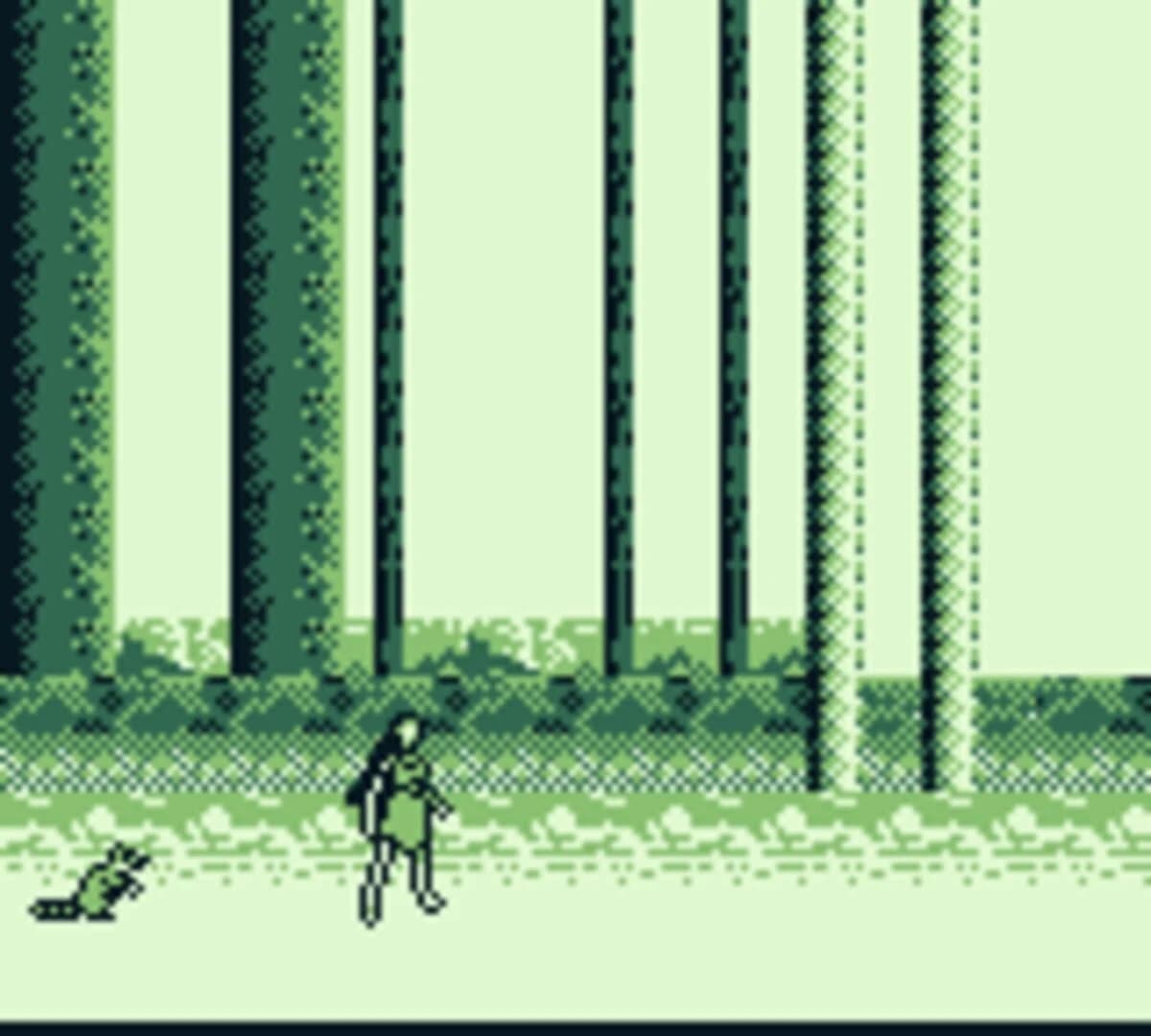 Disney's Pocahontas screenshot 2