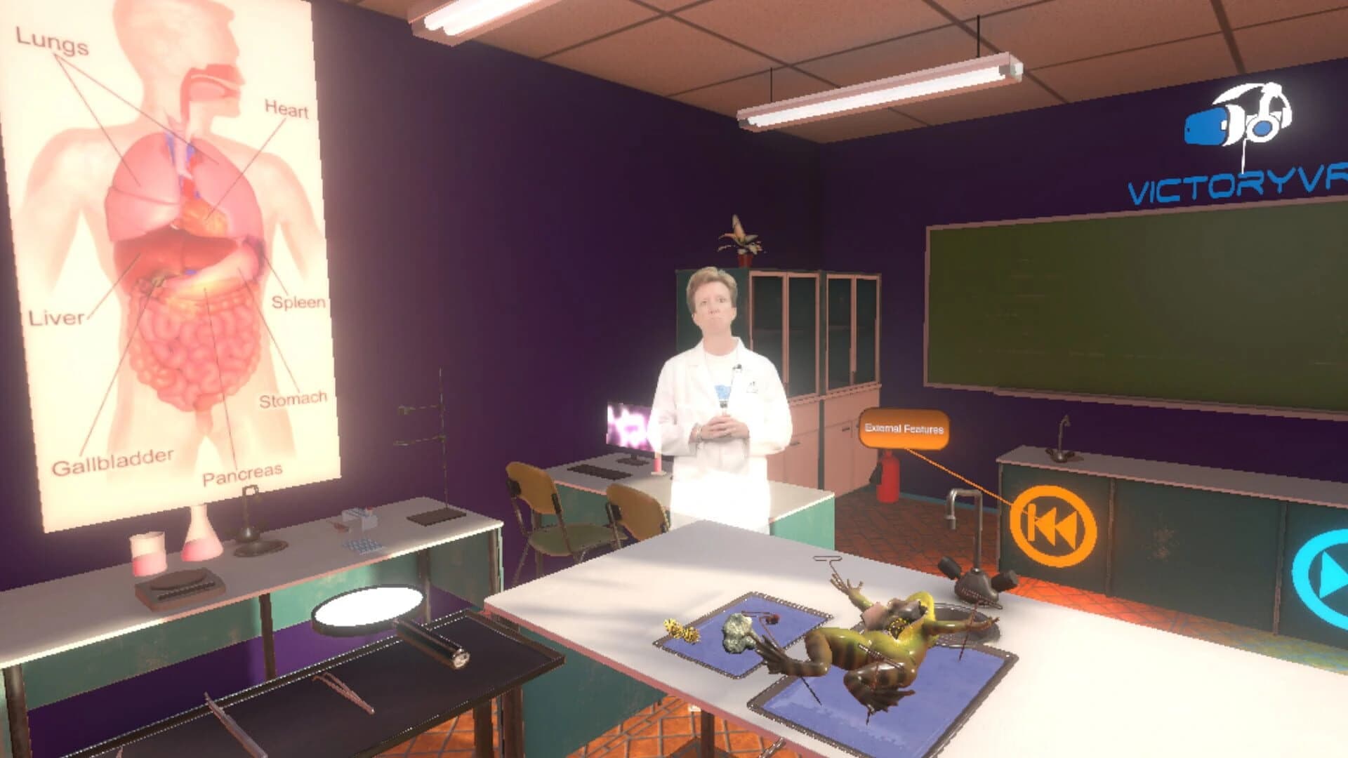 Dissection Simulator: Frog Edition screenshot 1