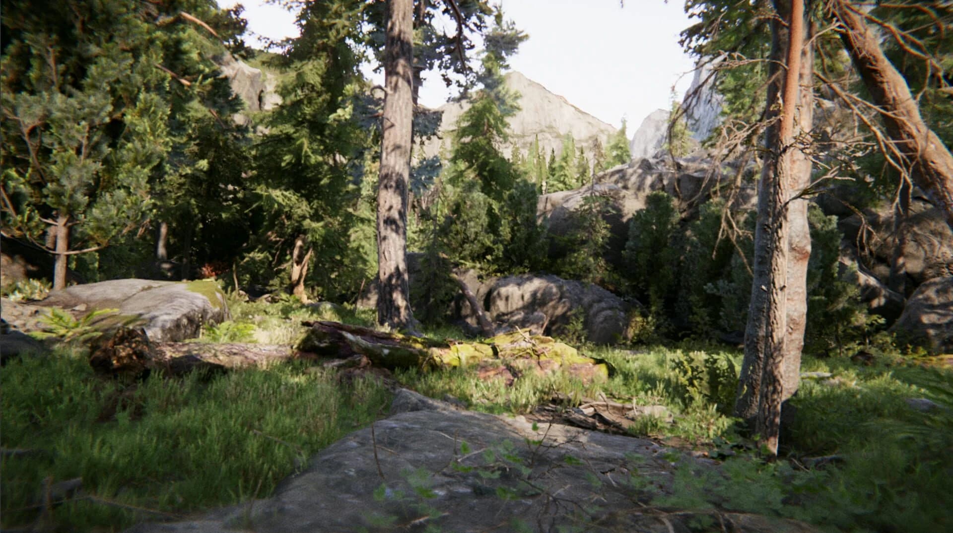 Divine Intervention screenshot 2