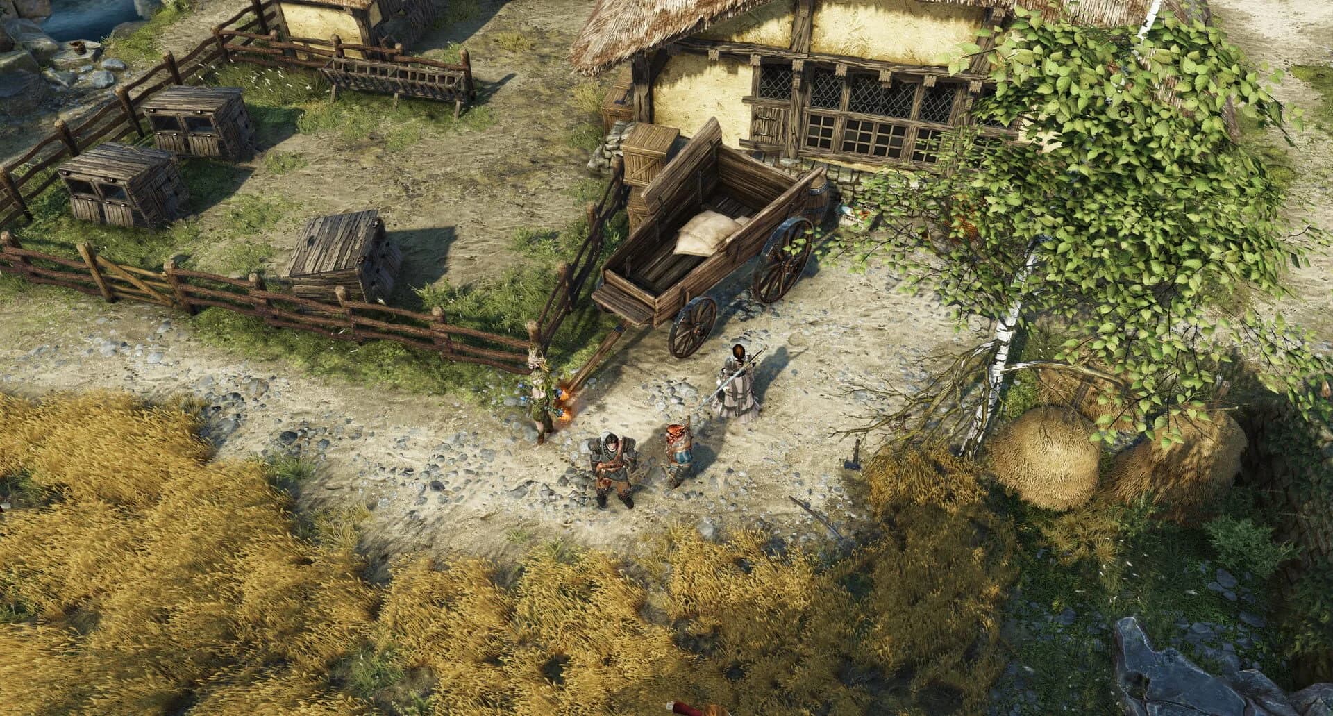 Divinity: Original Sin II screenshot 4