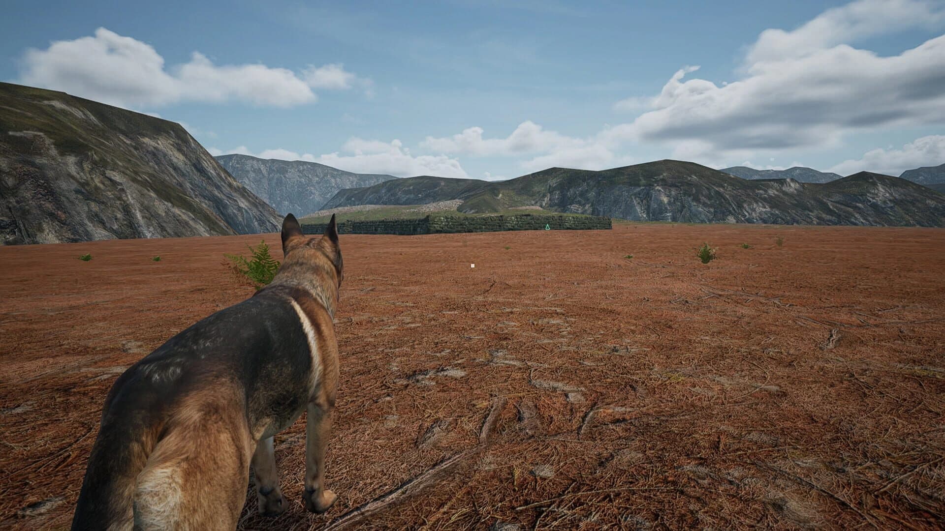 Dog Fox Bunny screenshot 1