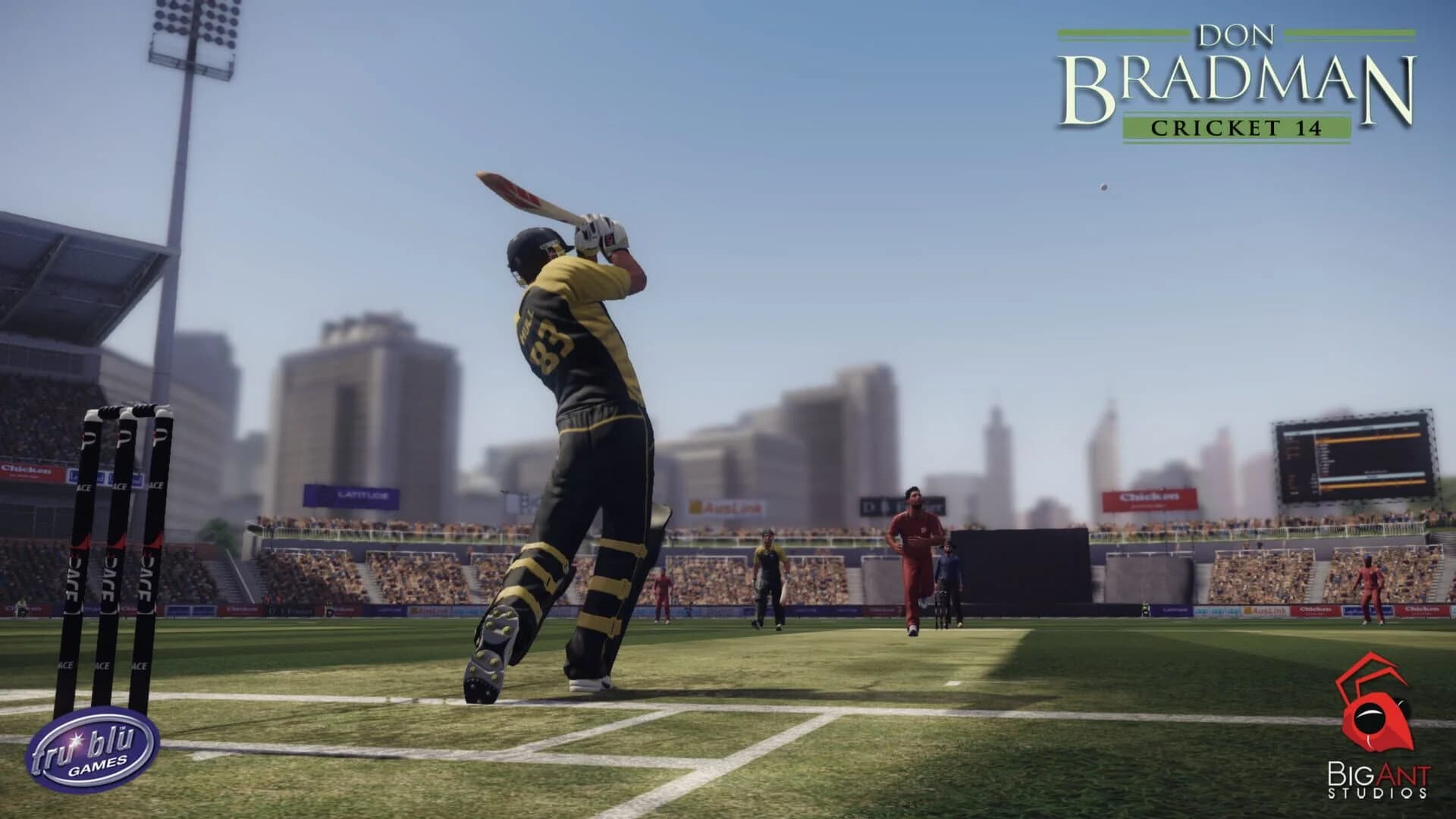 Don Bradman Cricket 14 screenshot 5
