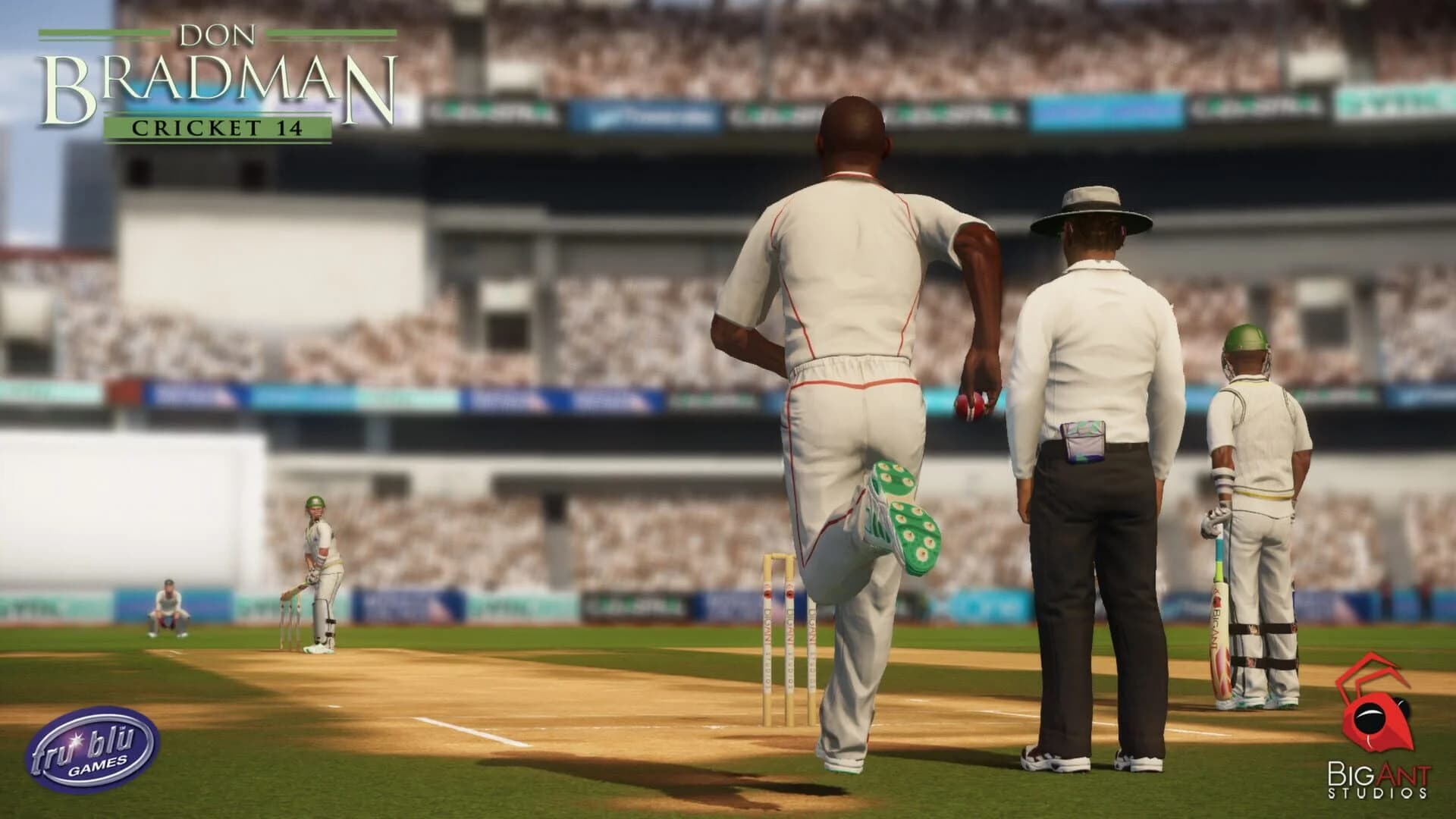 Don Bradman Cricket 14 screenshot 4