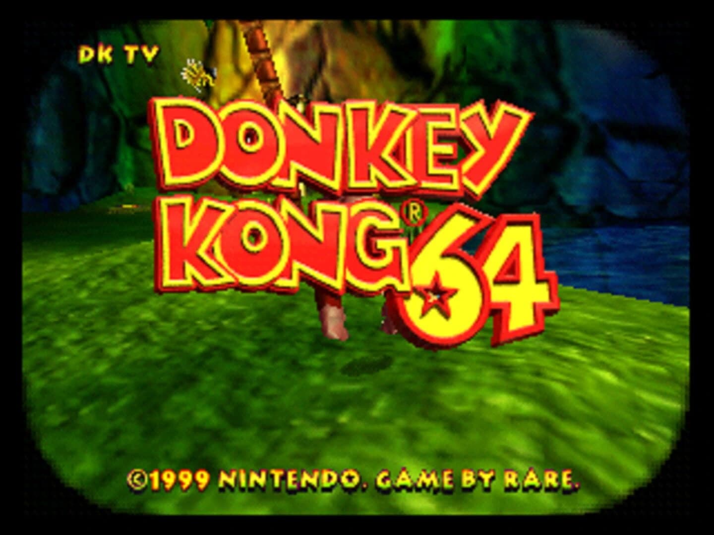 Donkey Kong 64: Tag Anywhere screenshot 2
