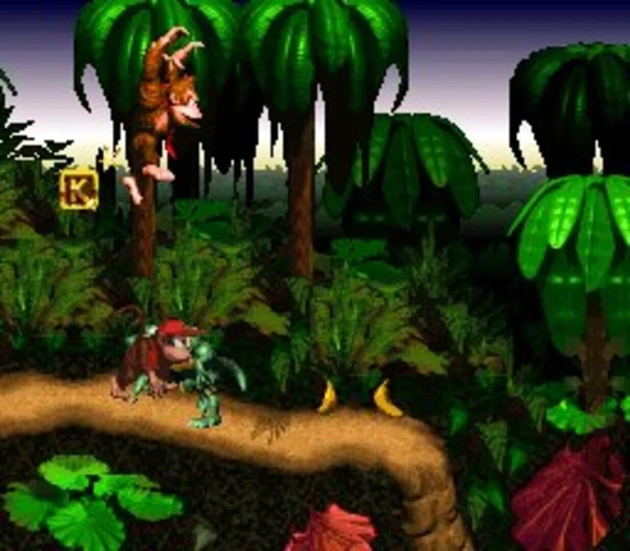 Donkey Kong Country screenshot 5