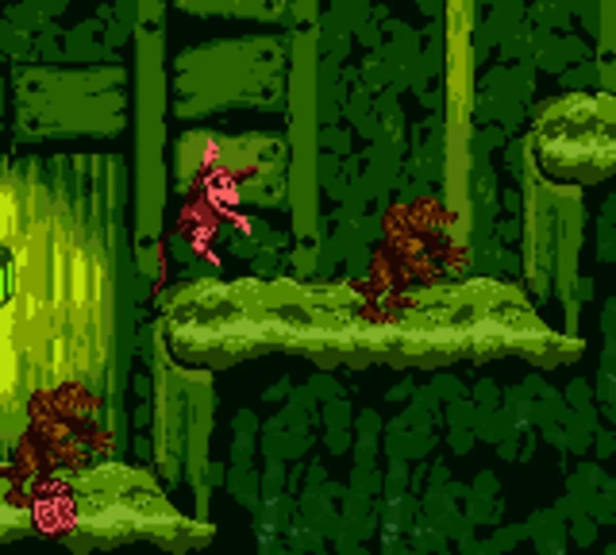 Donkey Kong Country screenshot 3