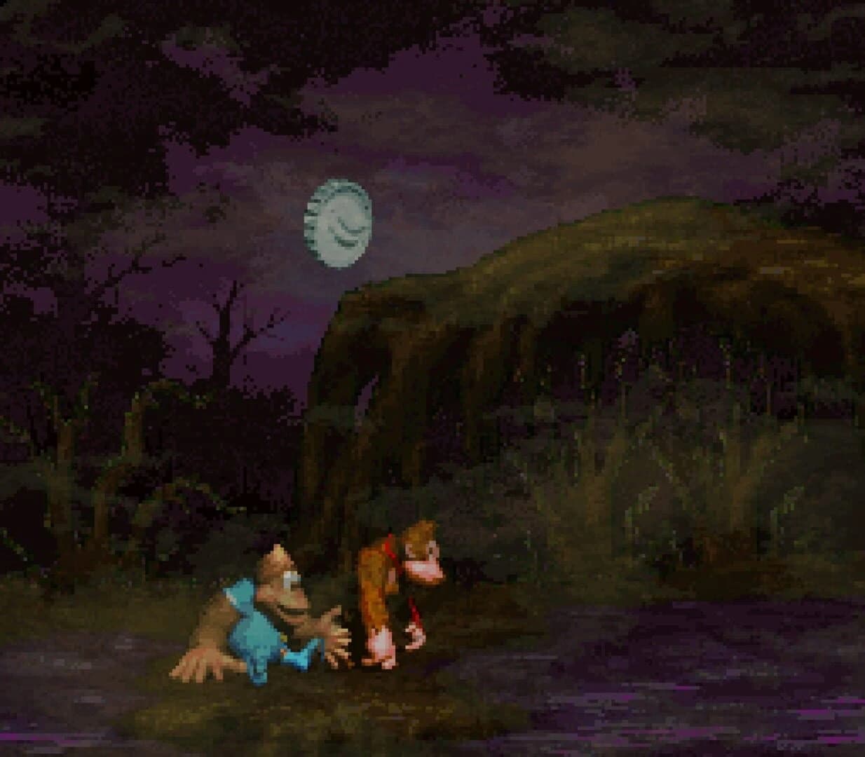Donkey Kong Country 4: The Kongs Return screenshot 3