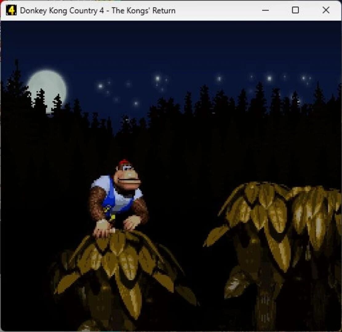 Donkey Kong Country 4: The Kongs Return screenshot 4