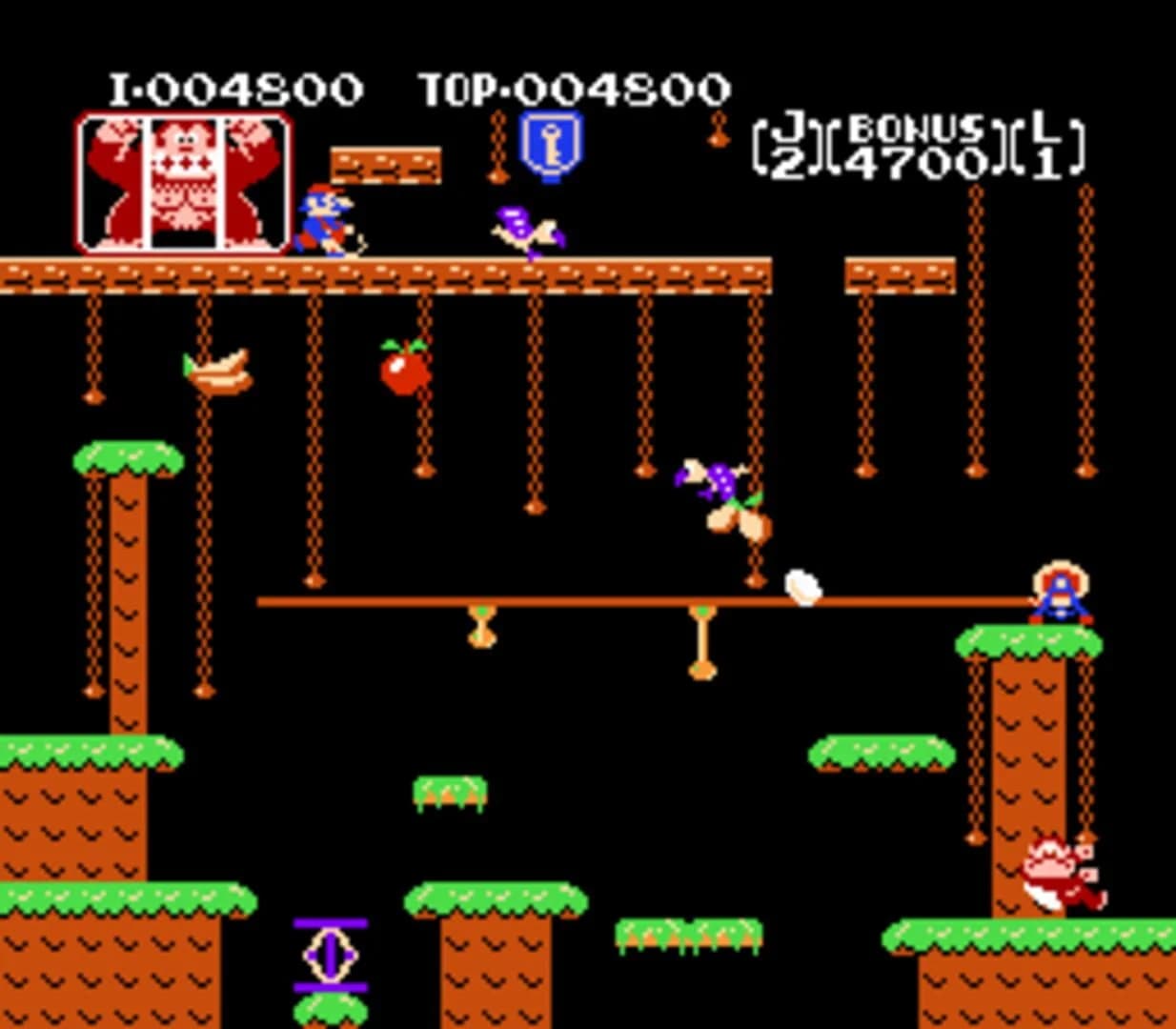 Donkey Kong Jr. screenshot 3