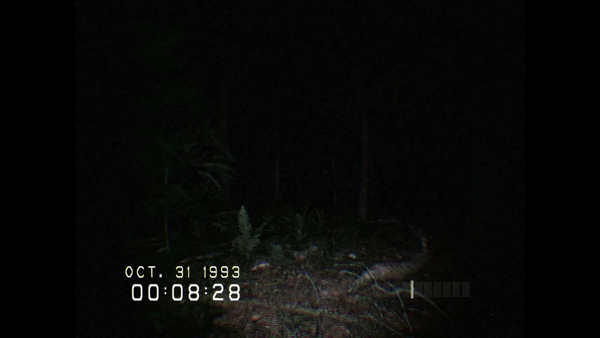 Don't Scream screenshot 4