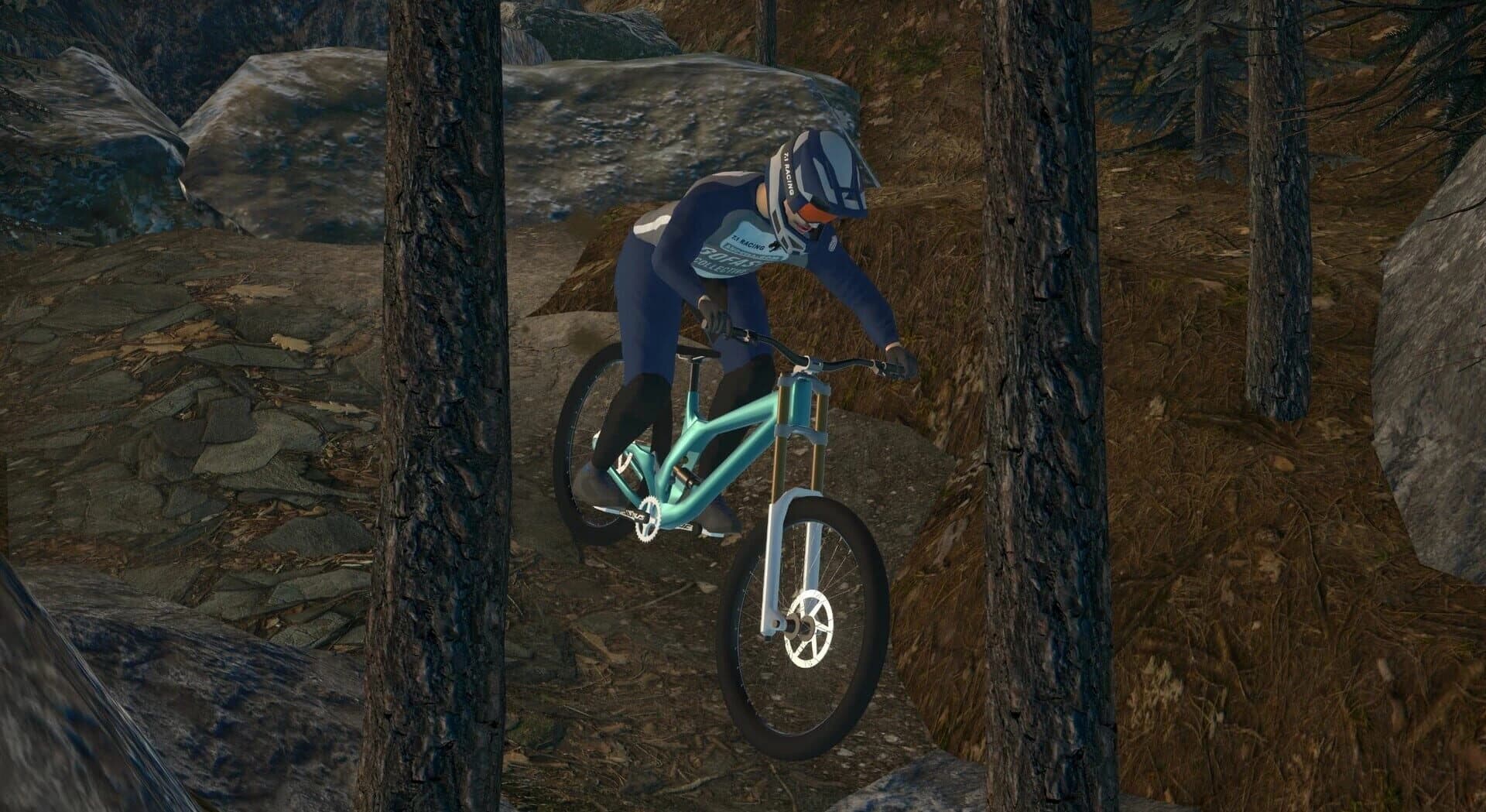 Downhill Pro Racer screenshot 3